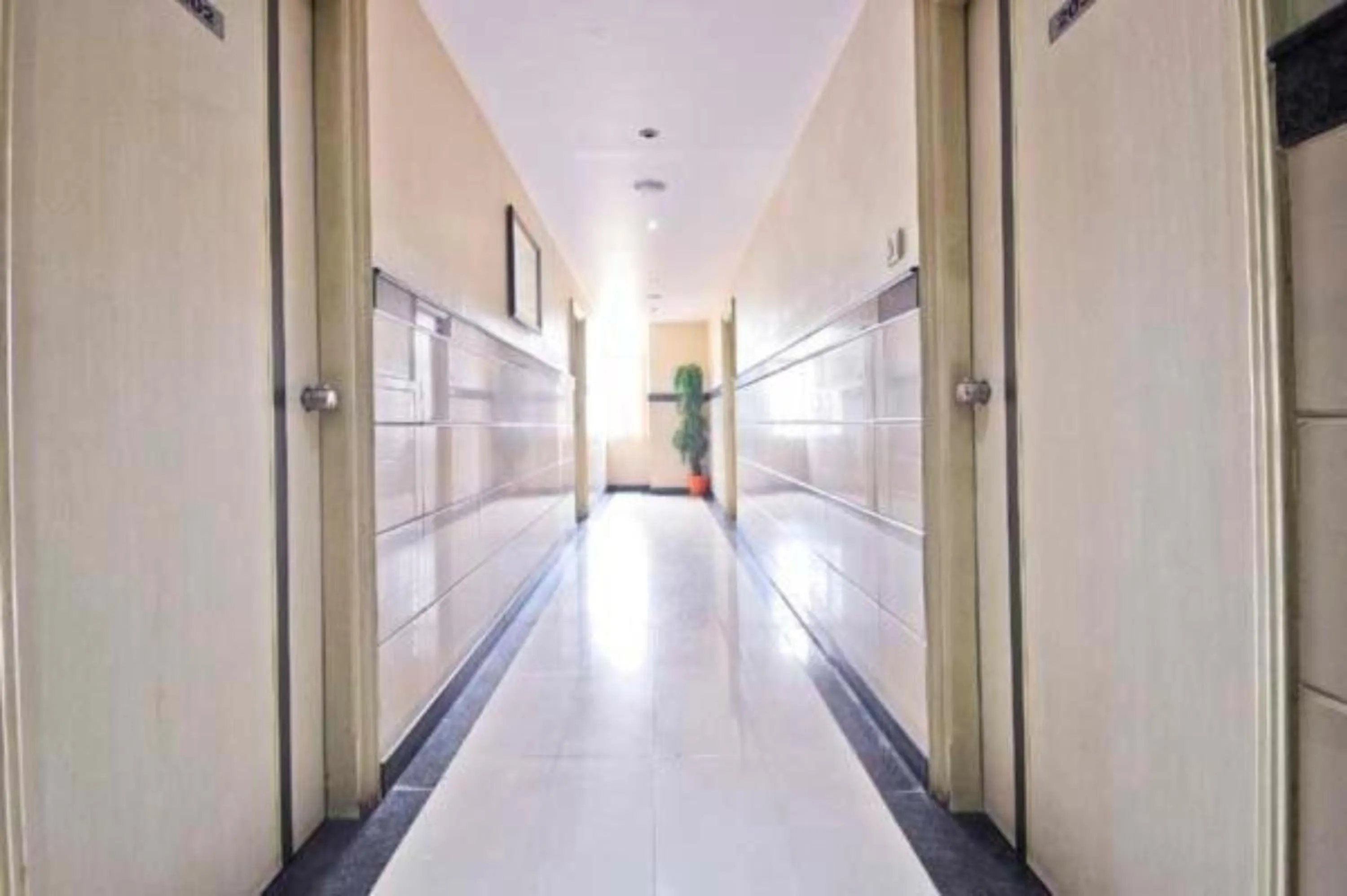 Lobby or reception in The Corporate Comforts