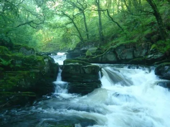 Day in The Rockford Inn