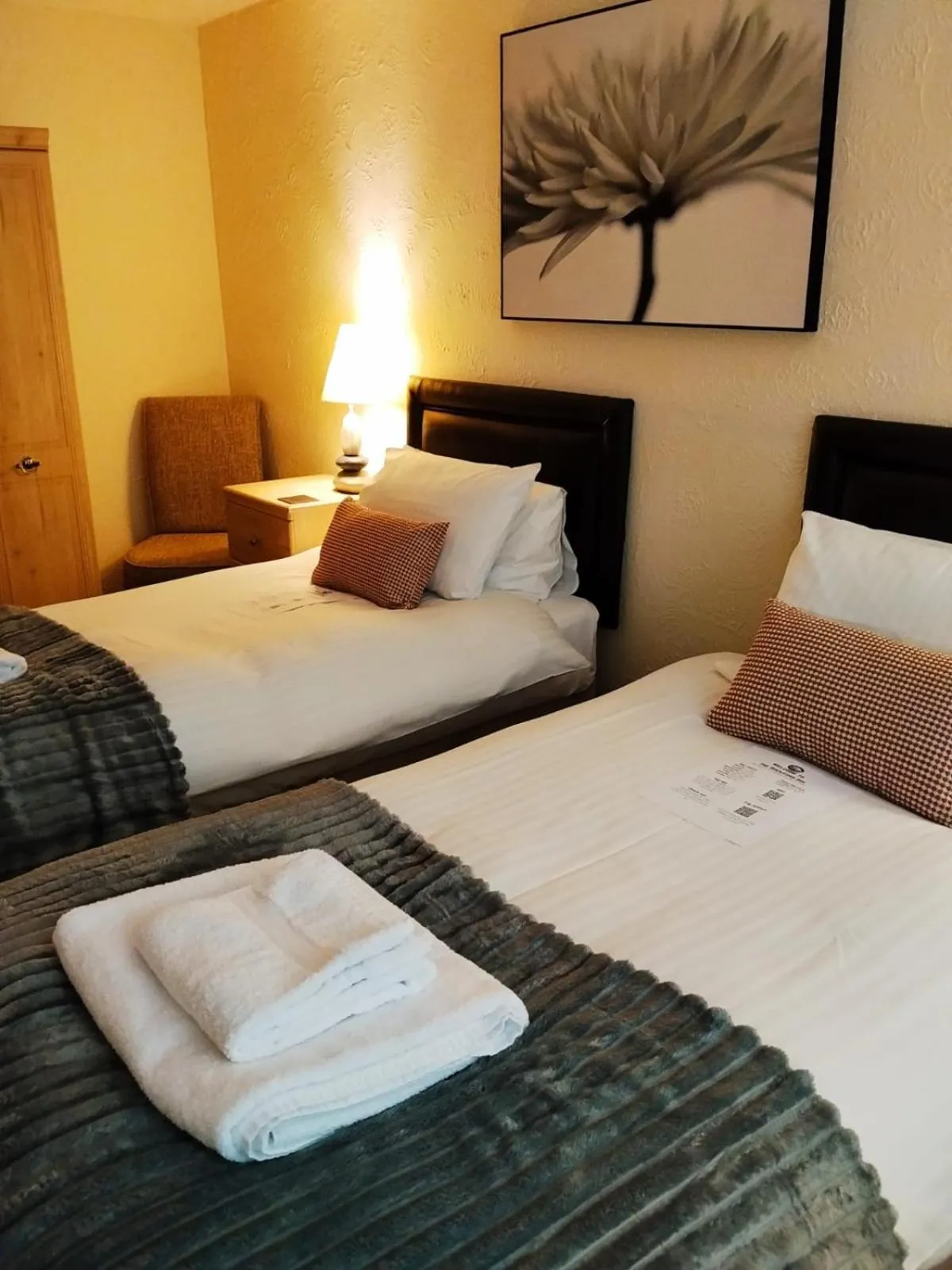 Twin Room - single occupancy in The Rockford Inn