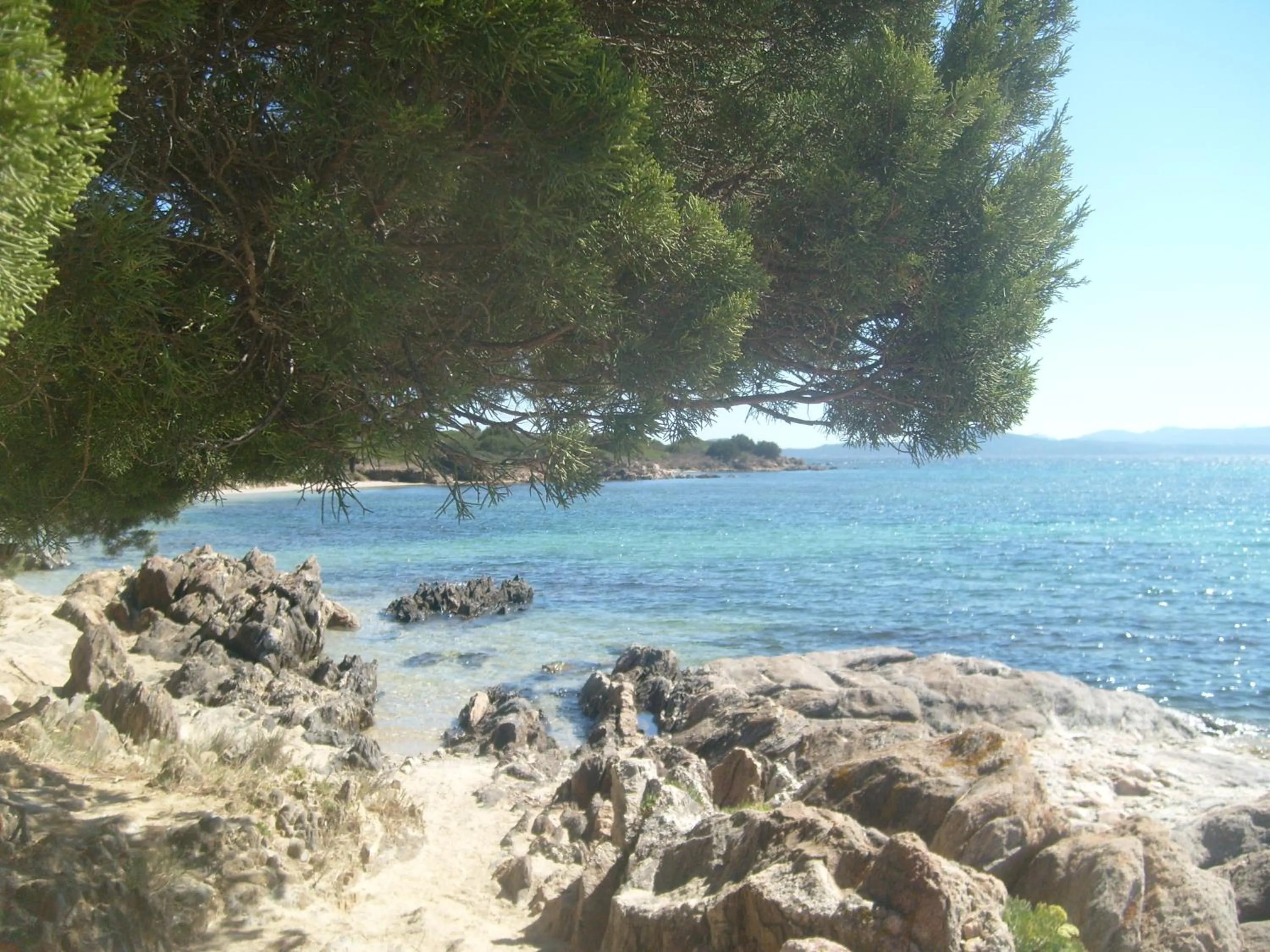 Natural landscape in Residence Spiaggia Bianca