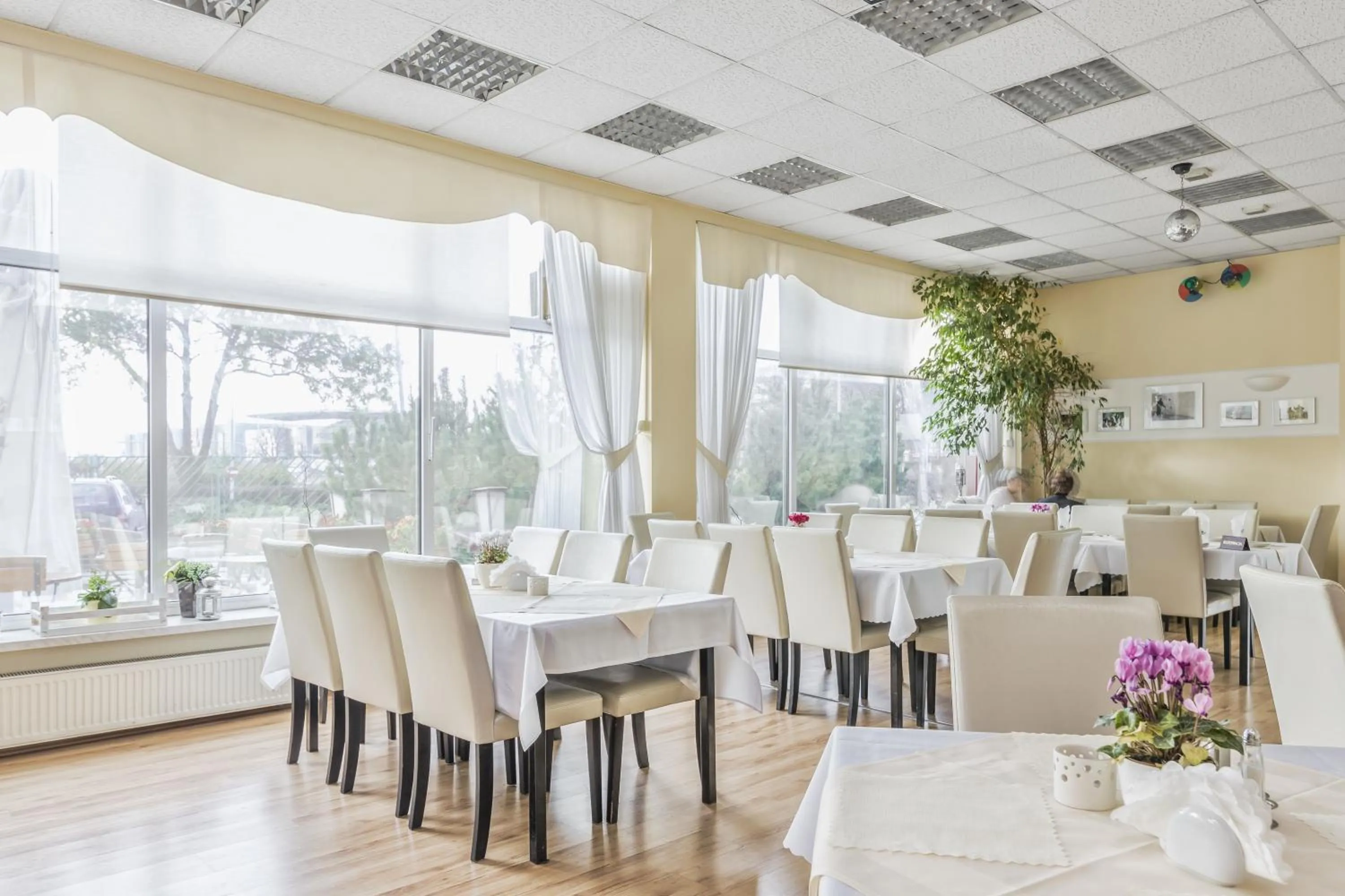 Restaurant/Places to Eat in Hotel Colibra