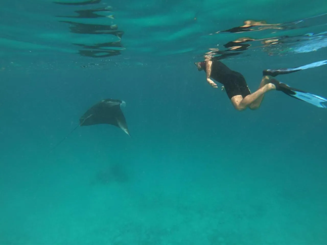 Activities in Island Home Inn