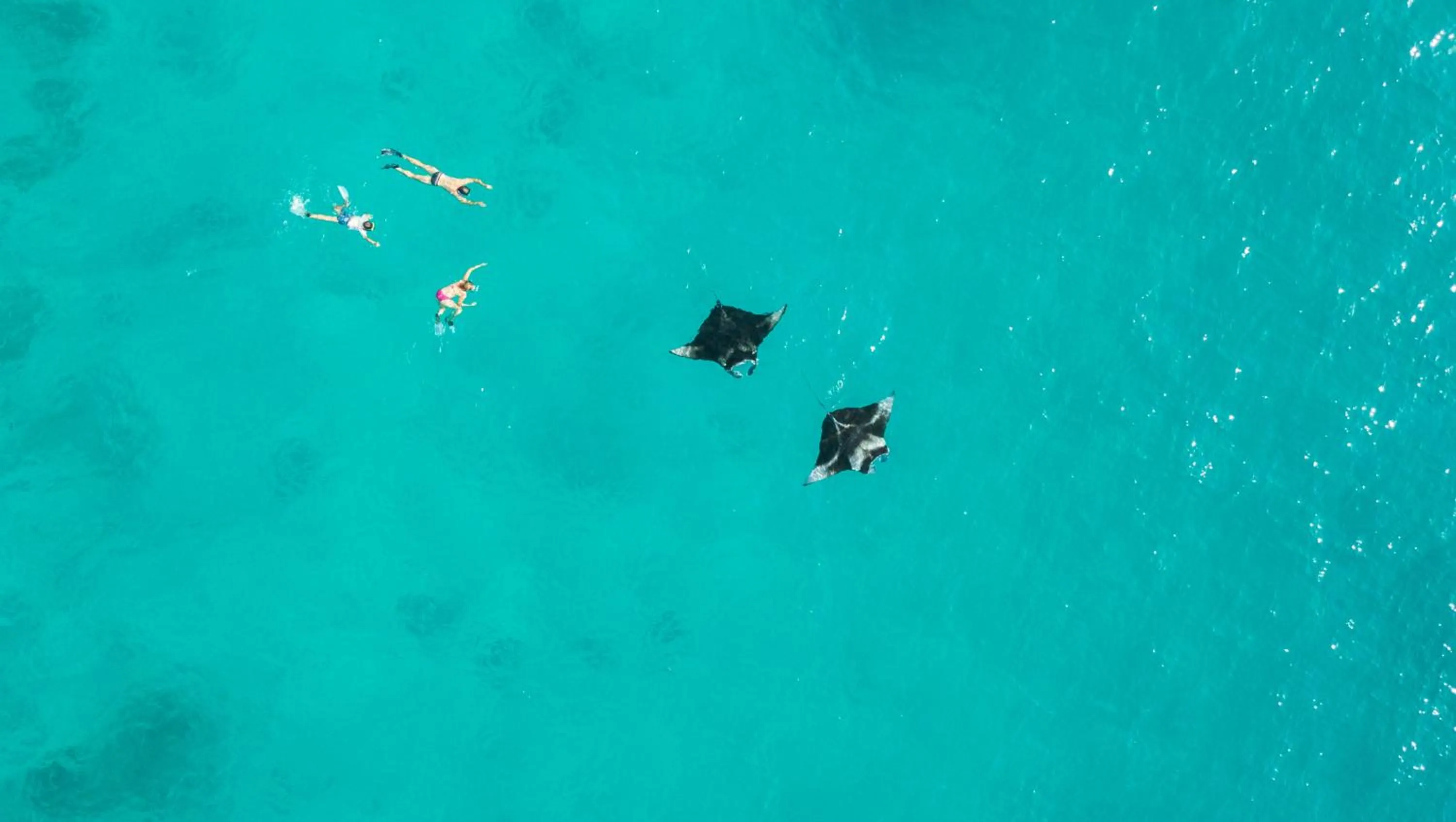 Off site in Island Home Inn