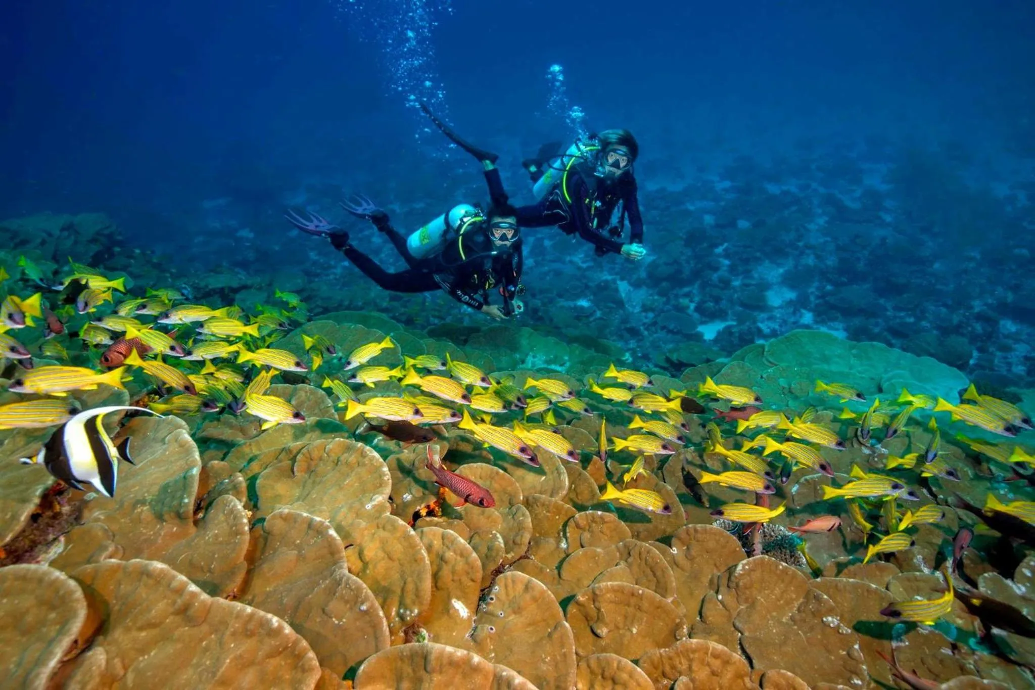 Off site in Island Home Inn