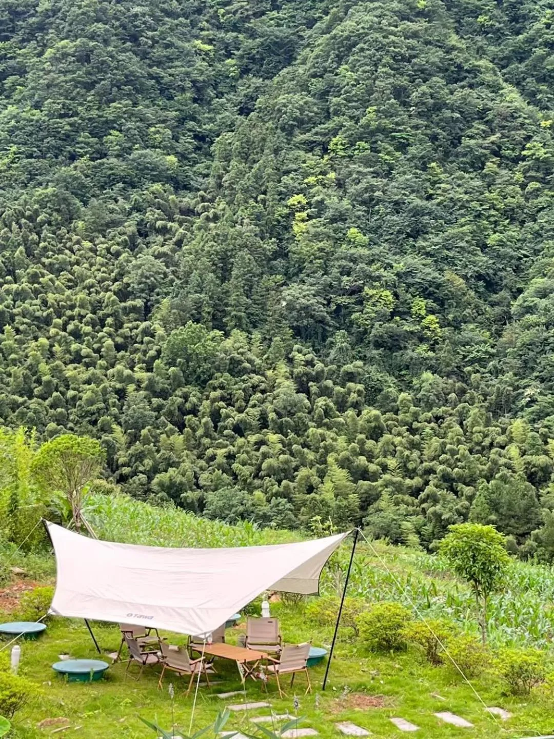 Garden view in Purespace