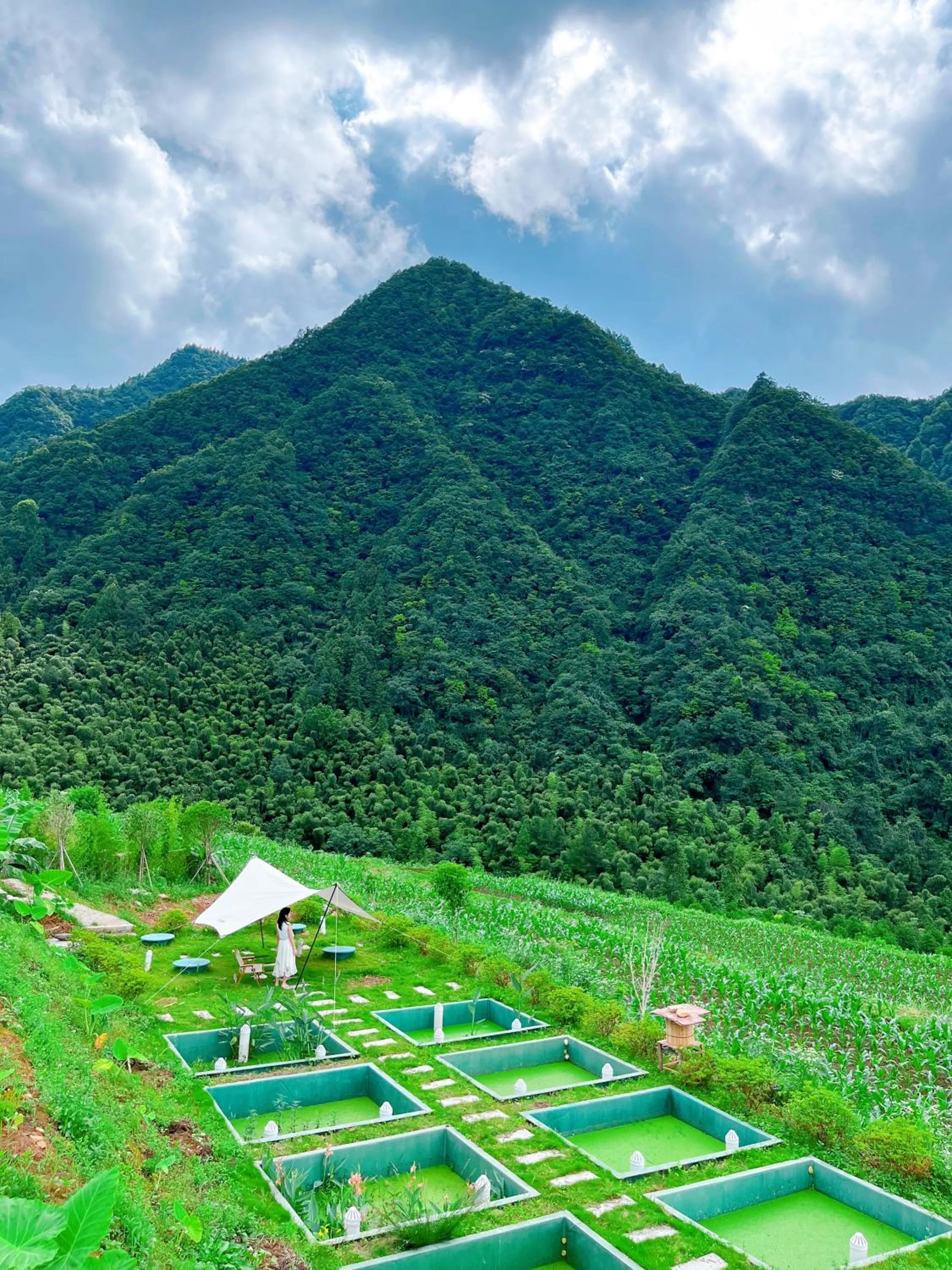 Property building in Purespace