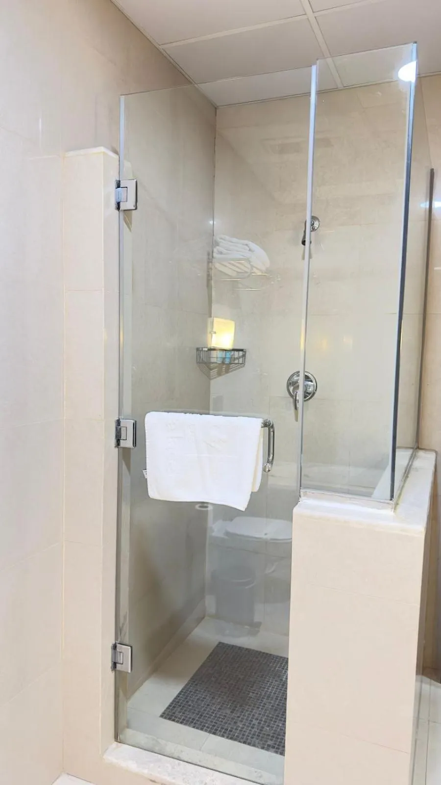 Shower in The Palace Suites