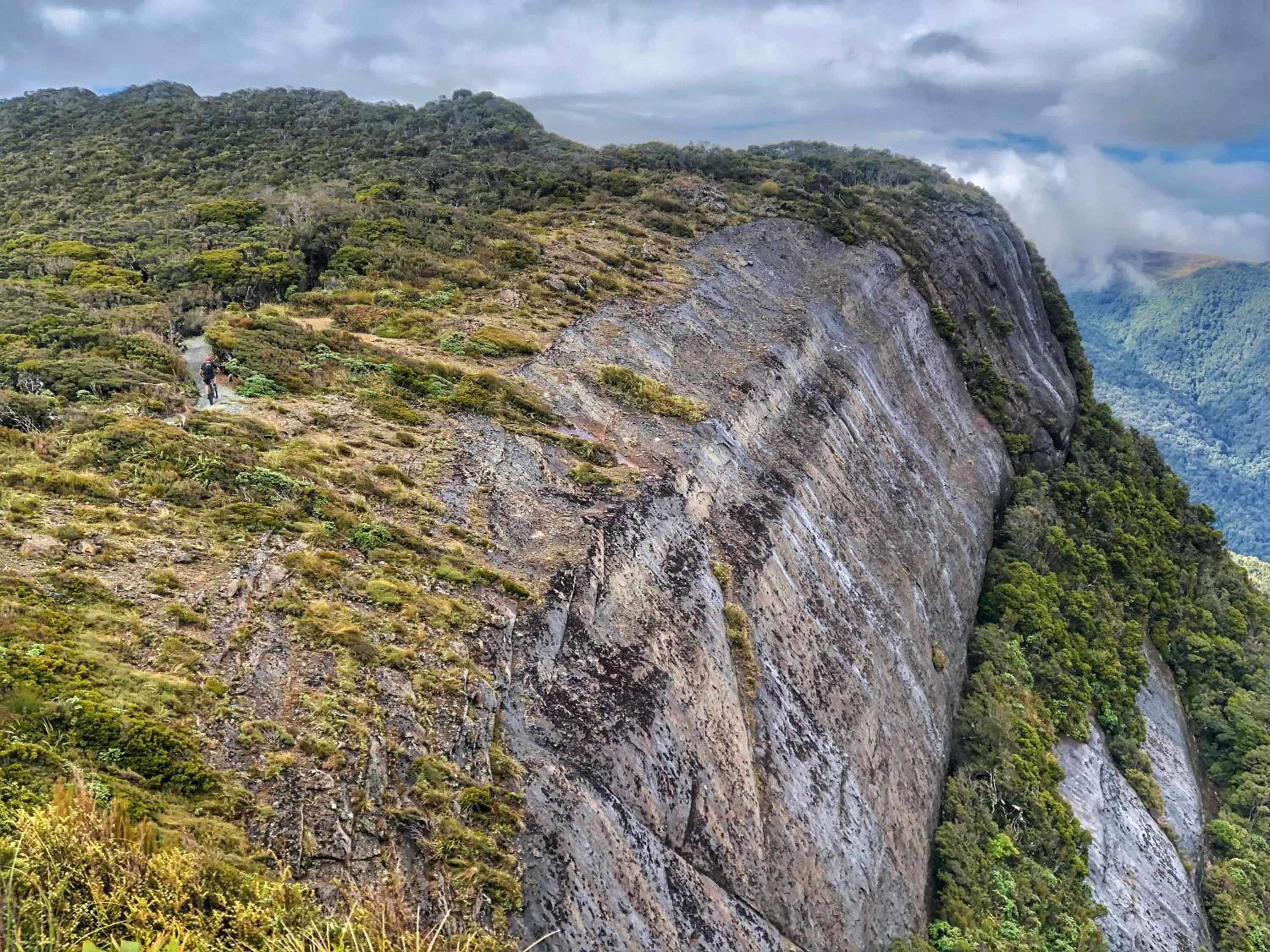 Natural landscape in Scenic Hotel Punakaiki