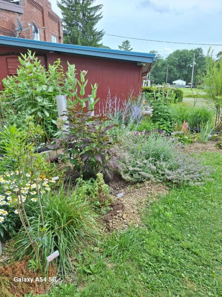 Garden in Rest Stop 6 Inn
