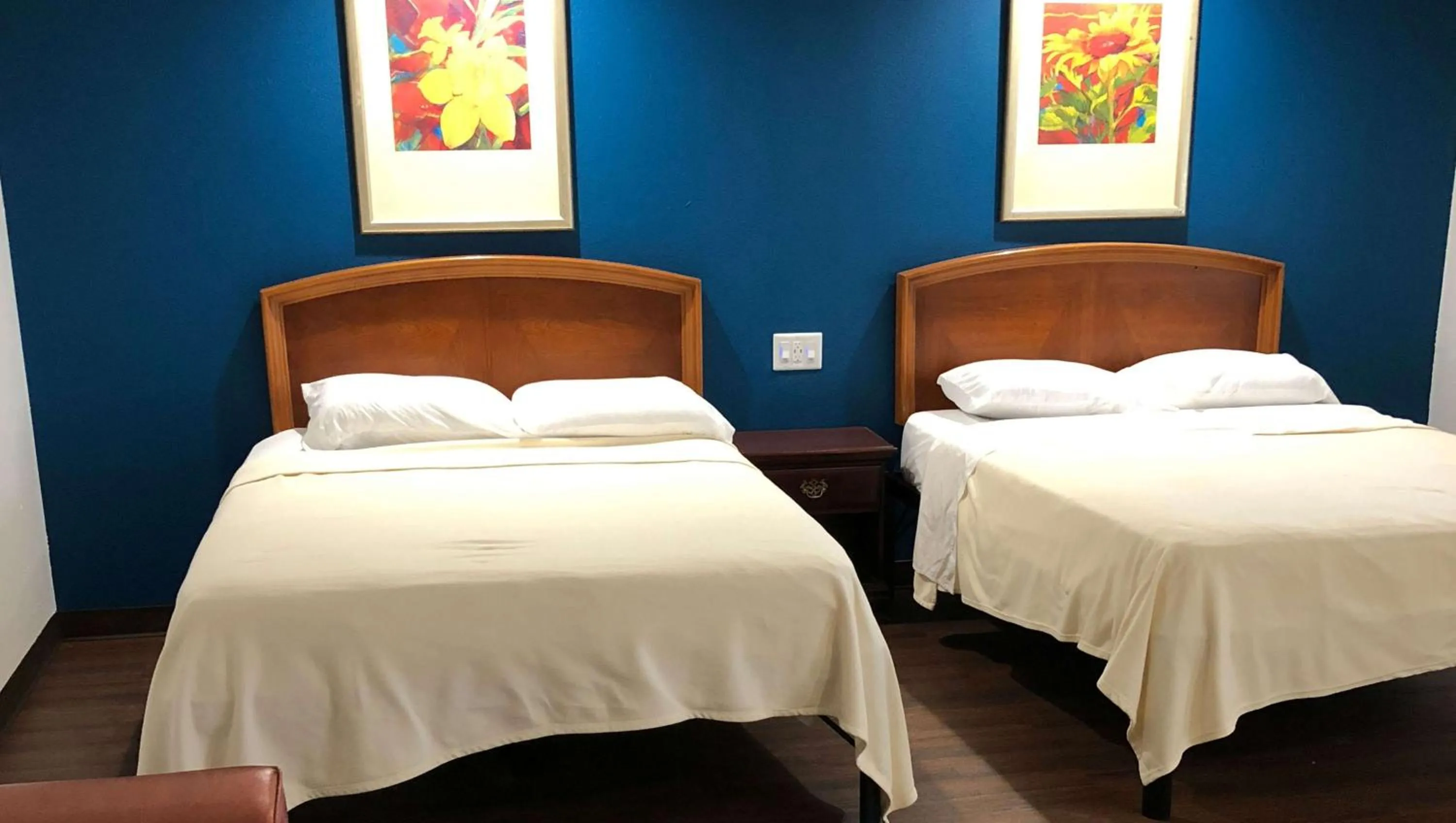 Photo of the whole room in Lucky Vista Motel