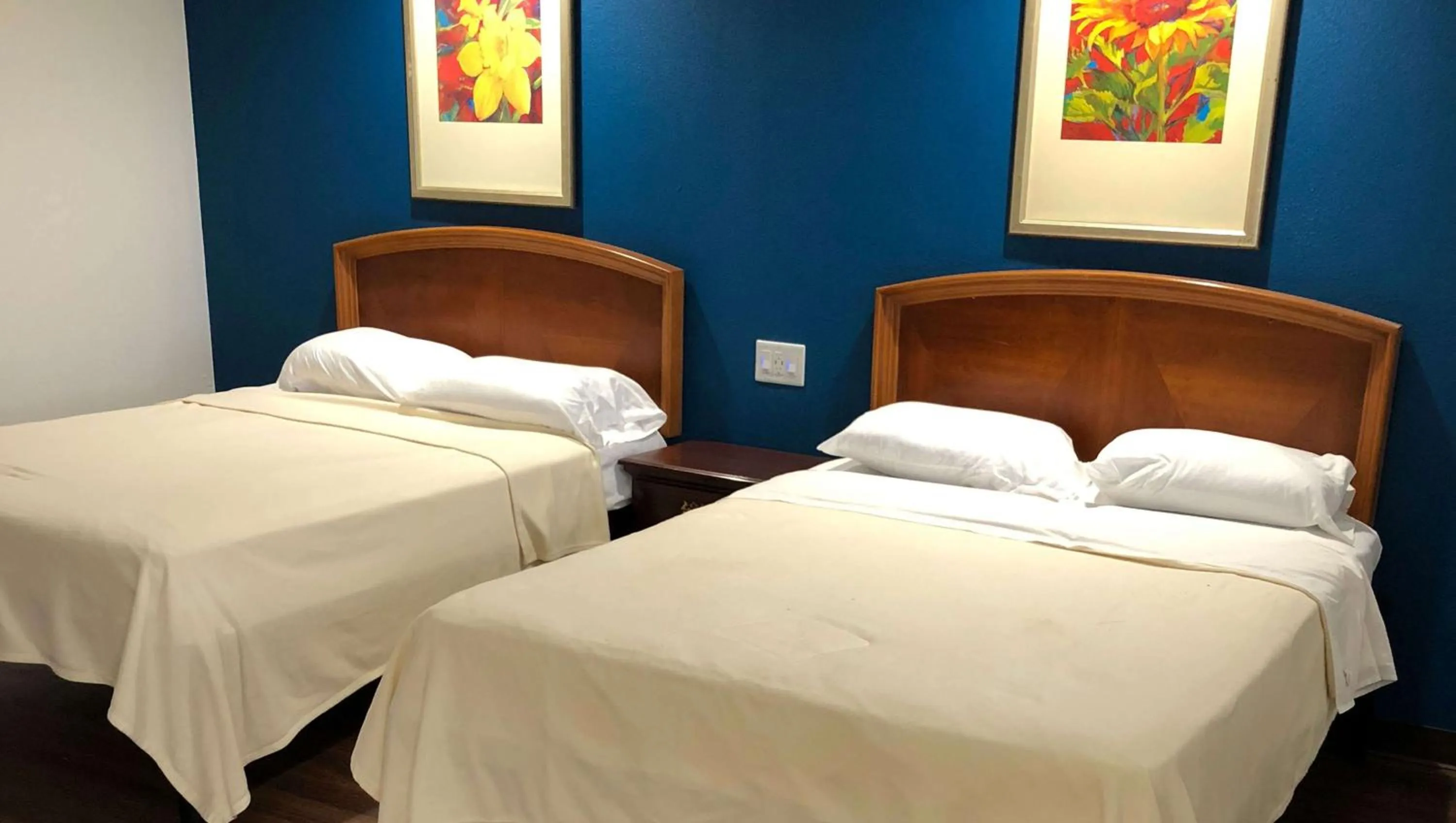 Photo of the whole room in Lucky Vista Motel