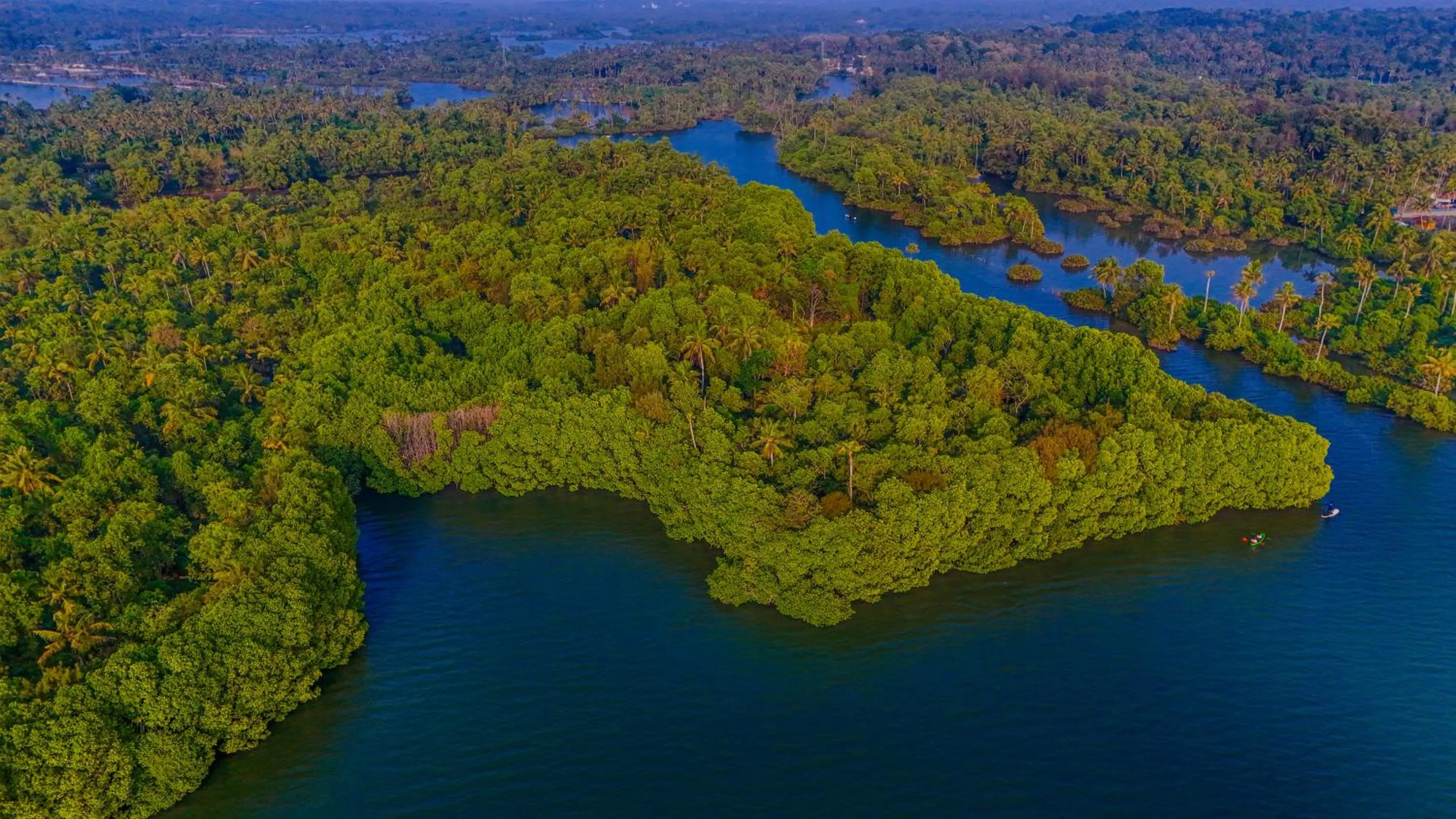 Lake view in Fragrant Nature Backwater Resort & Ayurveda Spa Kollam