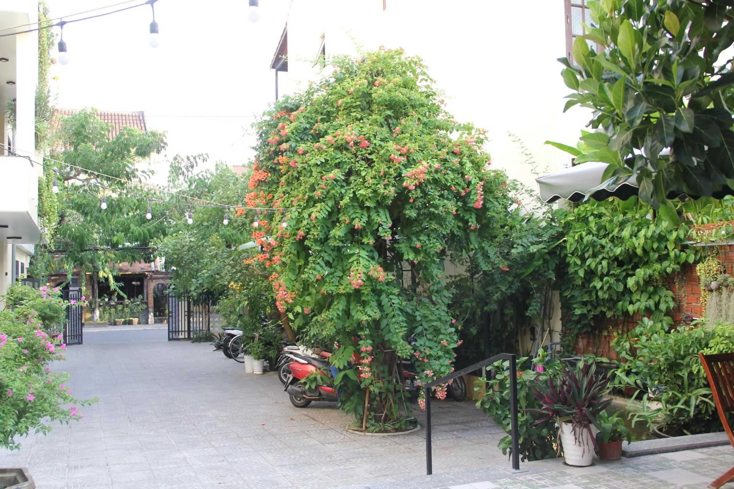 Day in Windbell Villa Hoi An