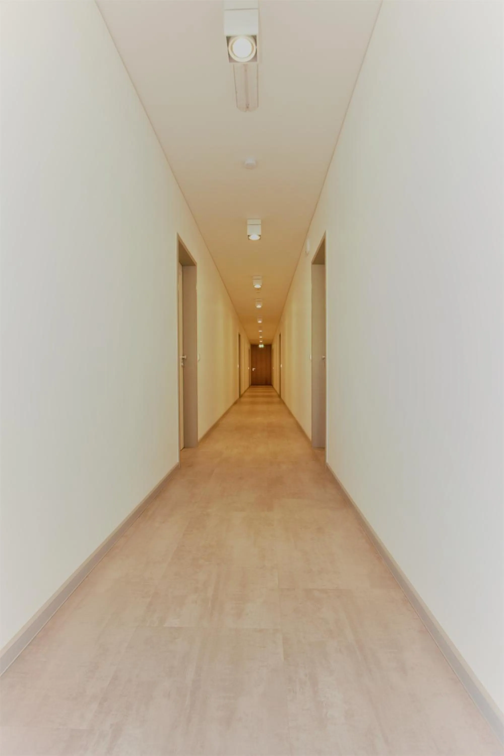 Decorative detail in Campus Apartments