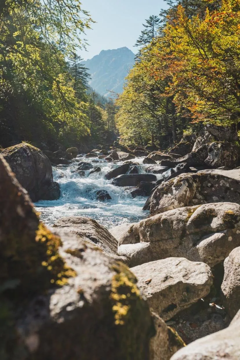 Hiking in Hôtel Le Bois Joli