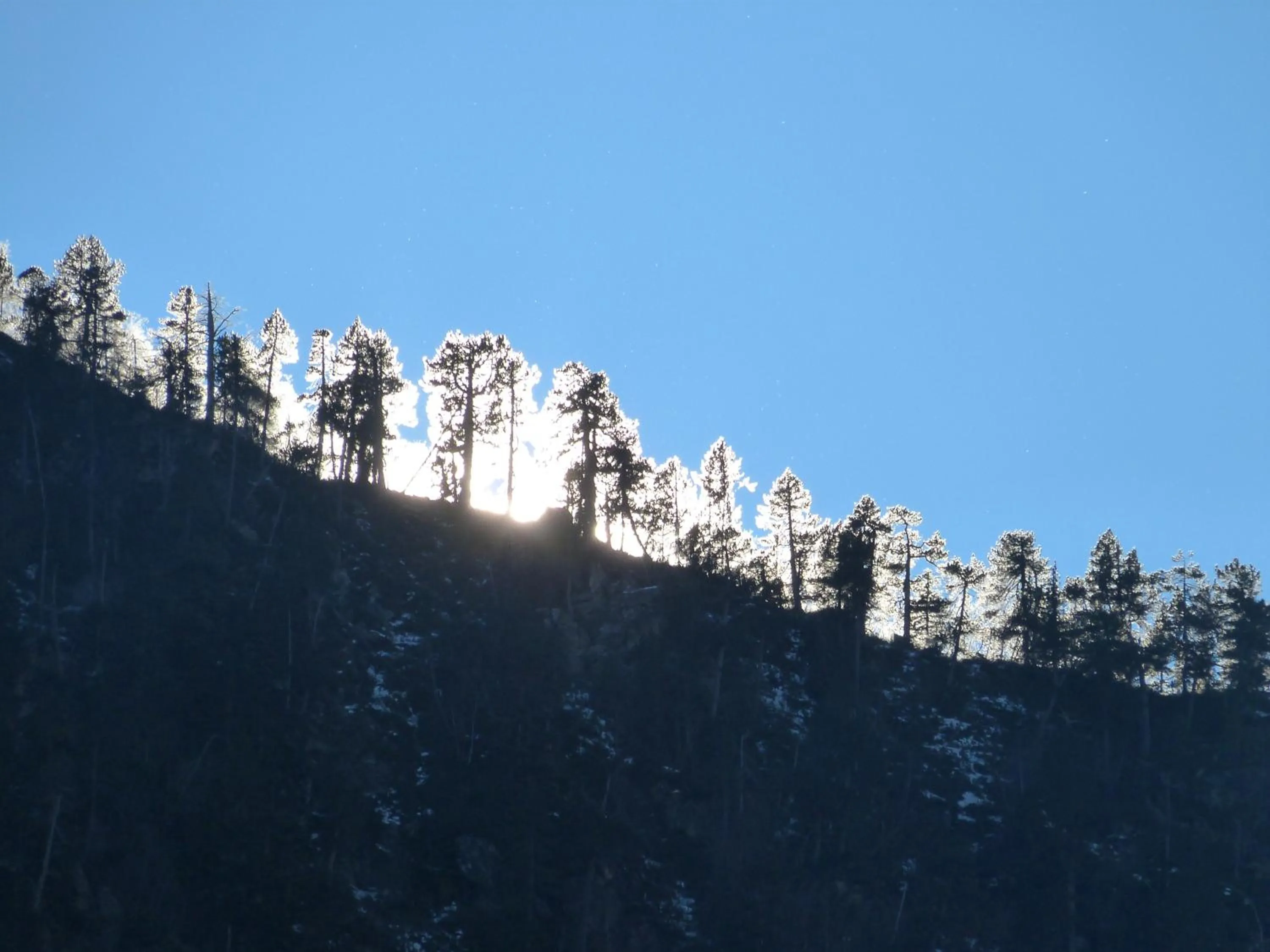 Facade/entrance in Hôtel Le Bois Joli