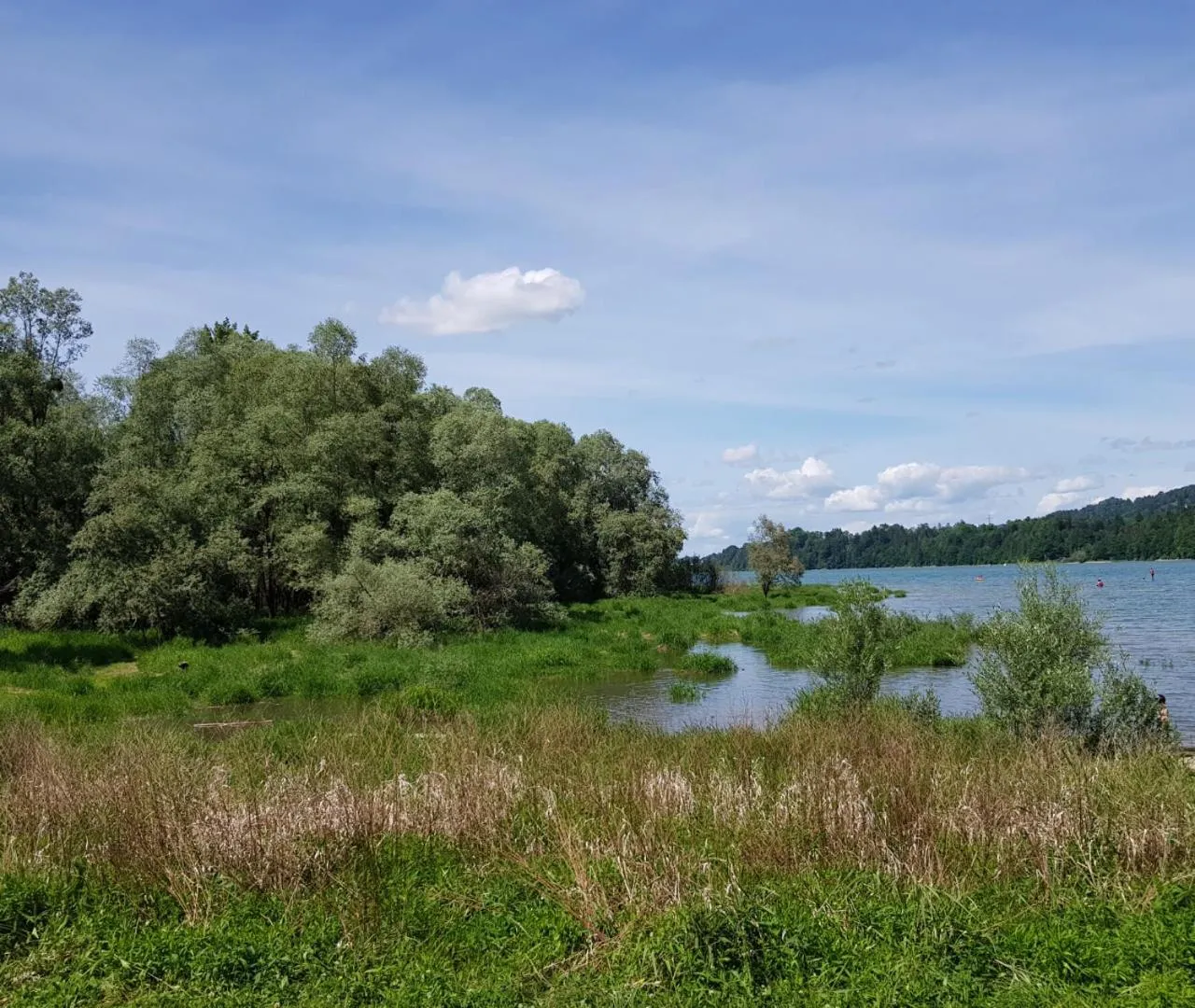 Natural landscape in Hôtel Restaurant le Gruyérien