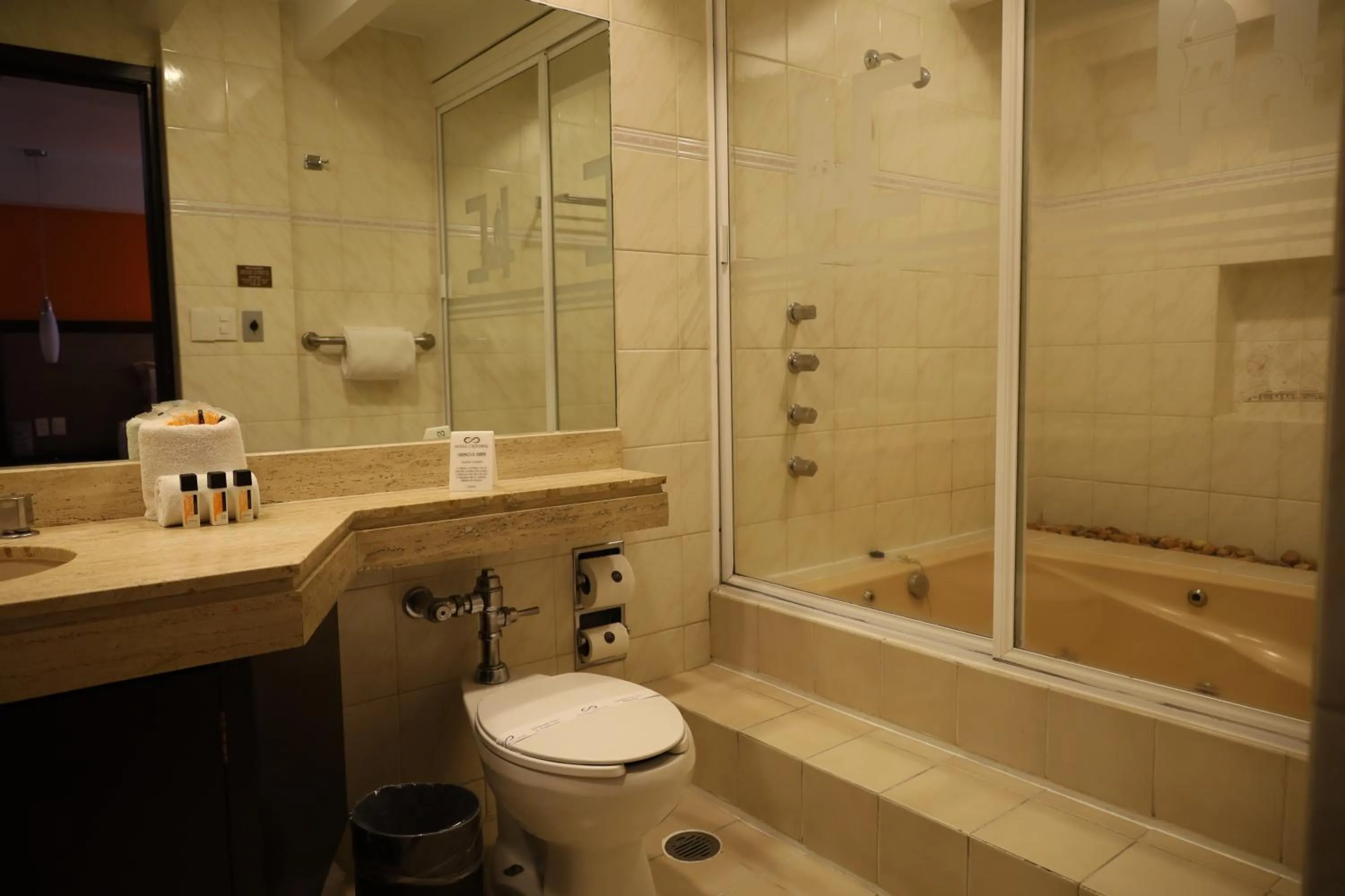 Shower in Hotel Catedral