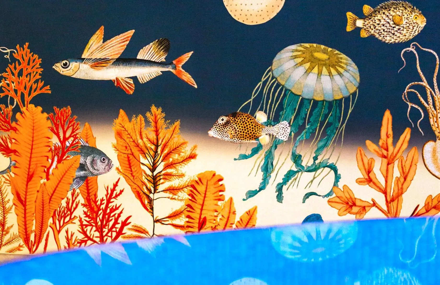 Swimming pool in FischerS