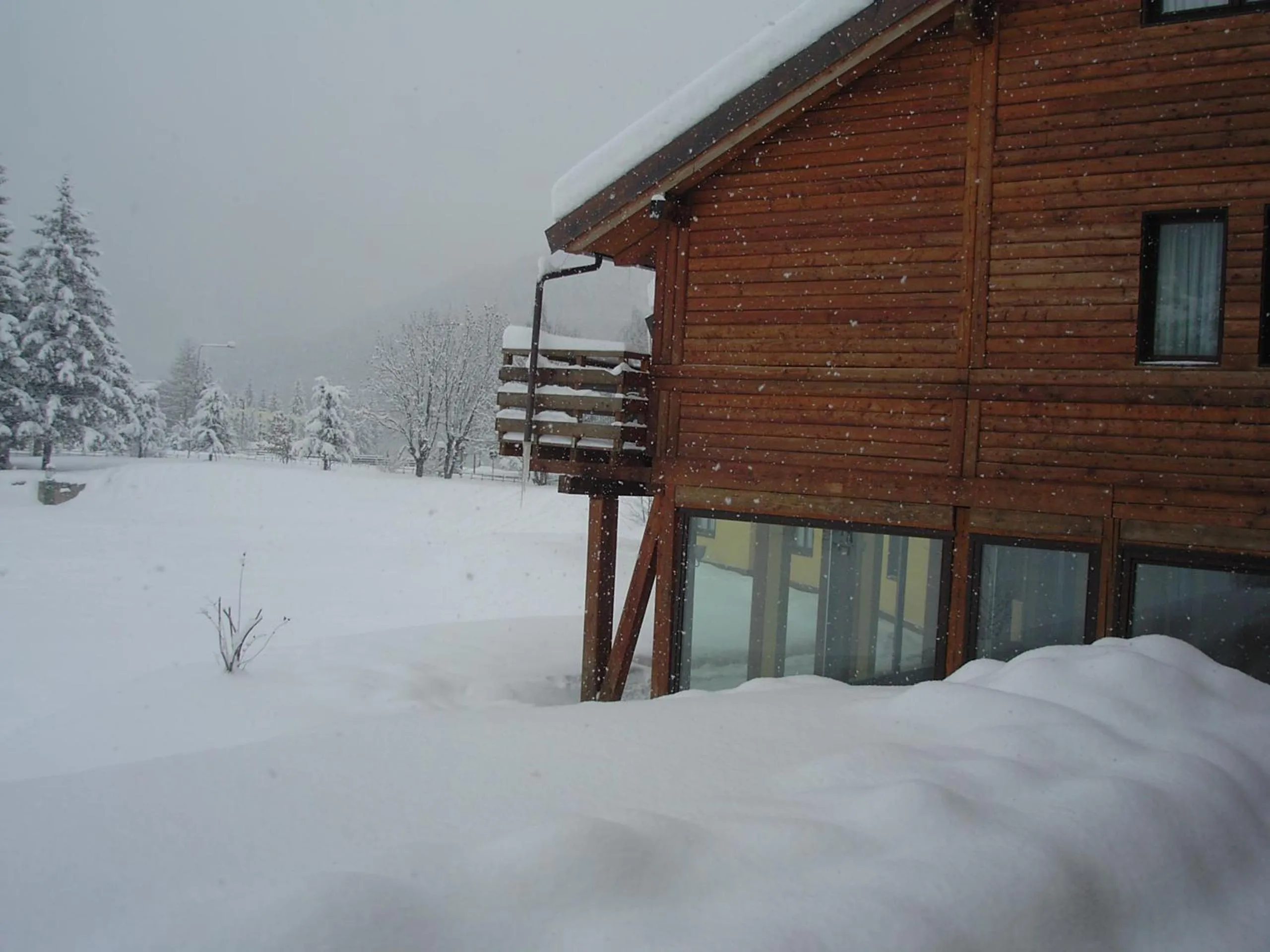 Garden view in Hotel Cà Fiore