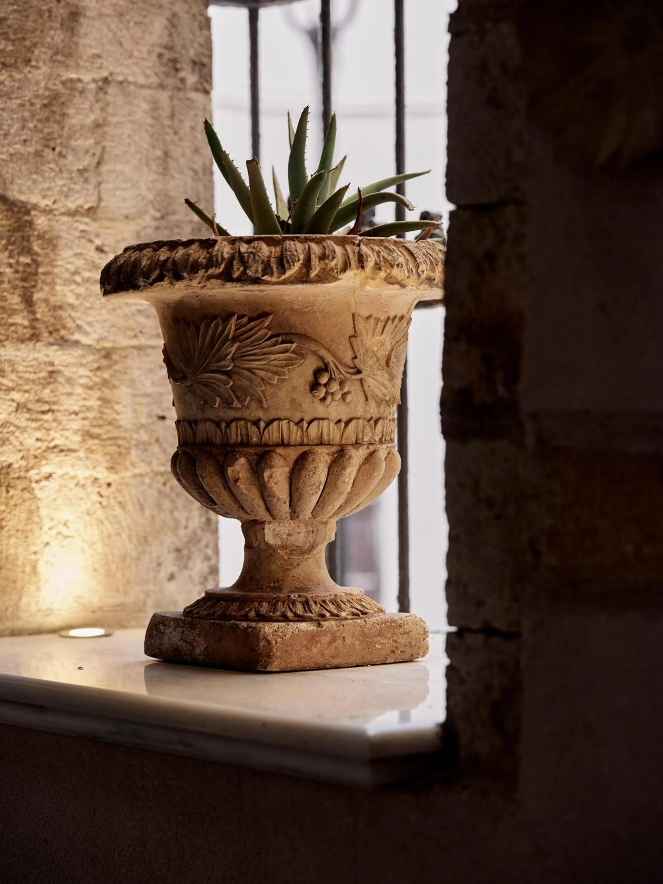 Casa Delfino Hotel & Spa