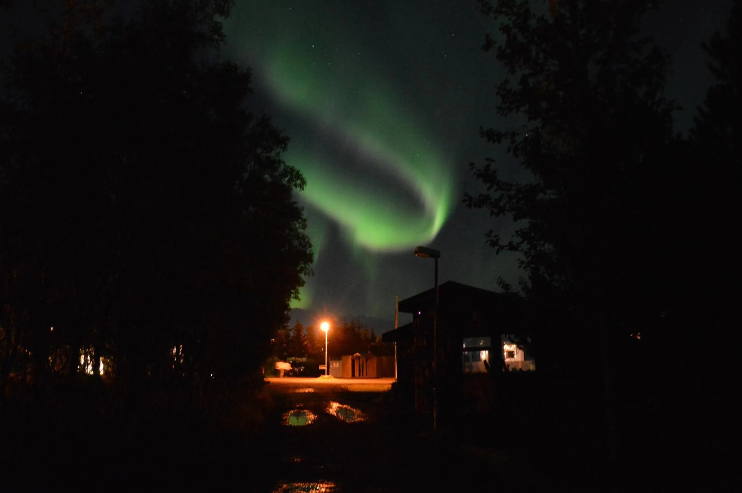 Winter in Gesthus Selfoss