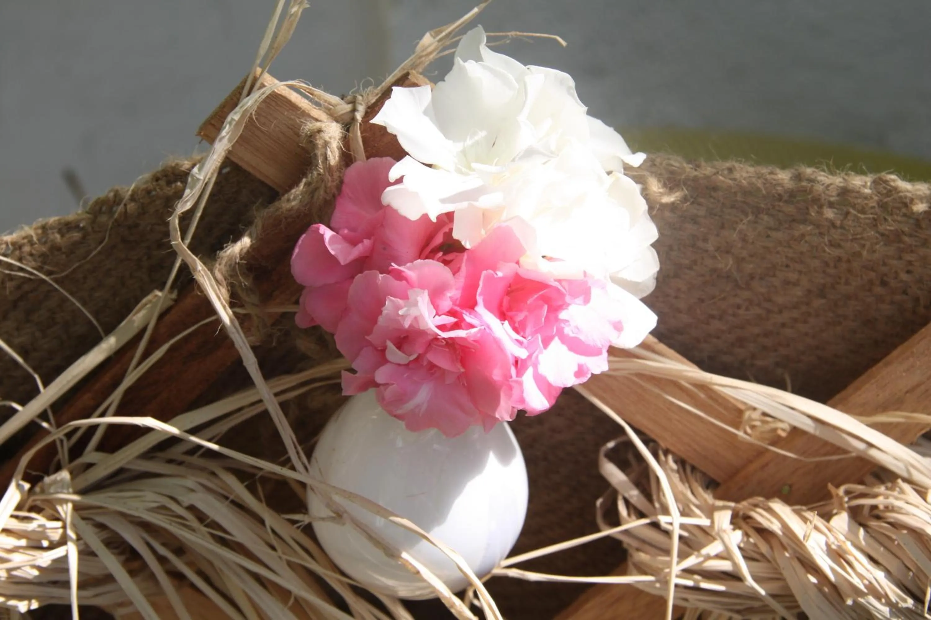 Area and facilities in Griffon Hotel