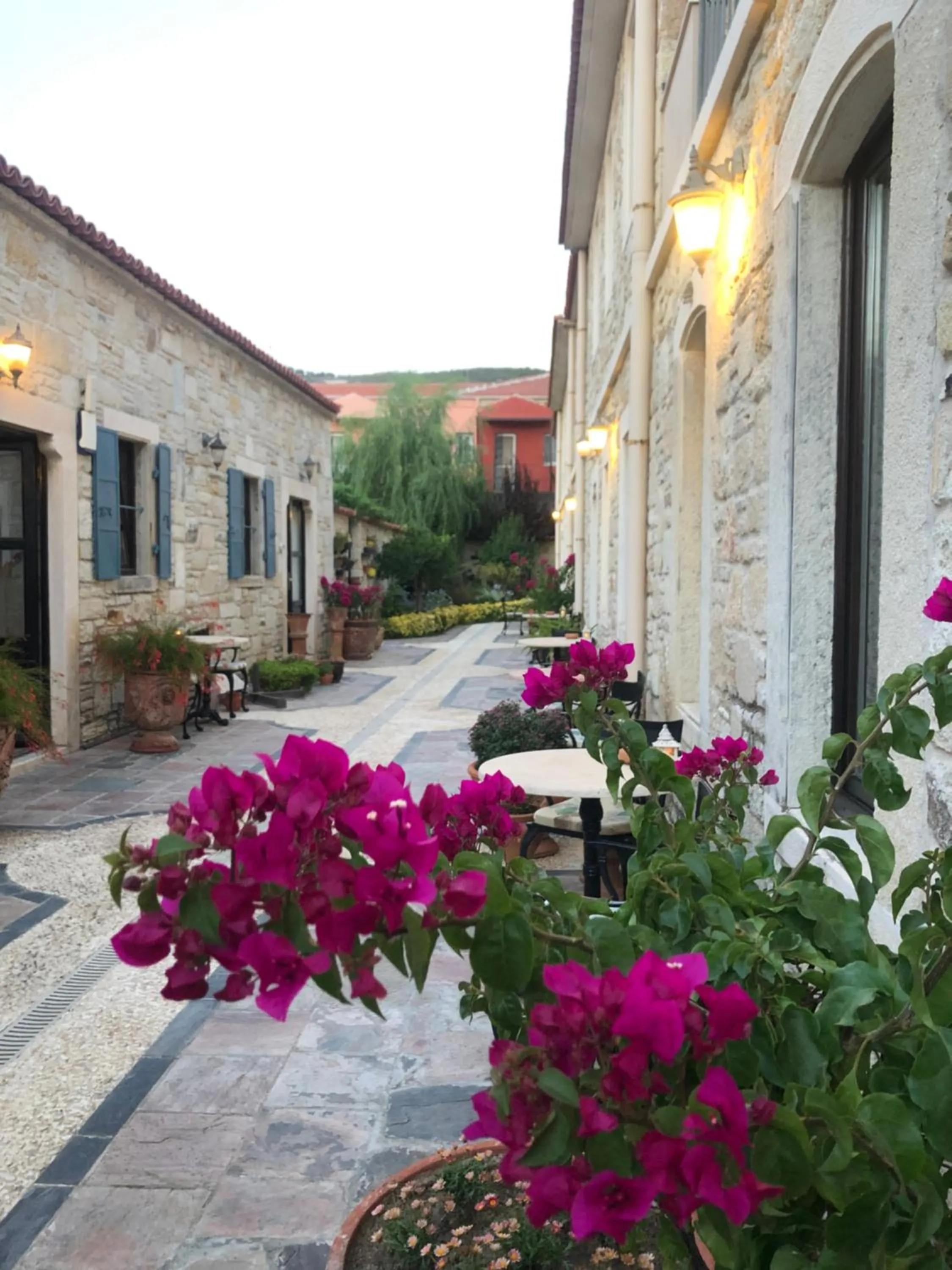 Property building in Griffon Hotel