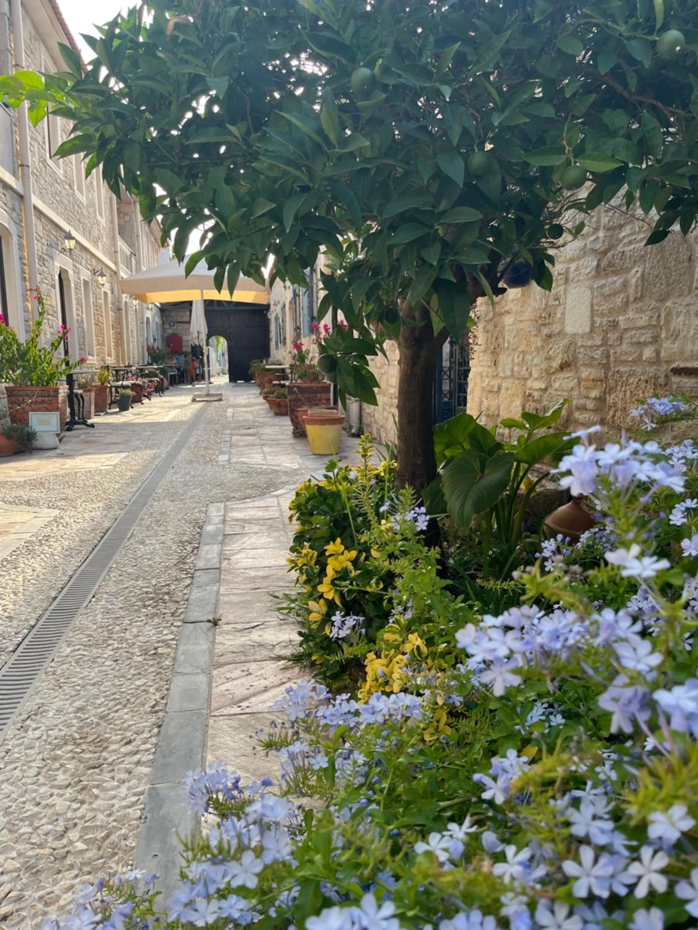 Property building in Griffon Hotel