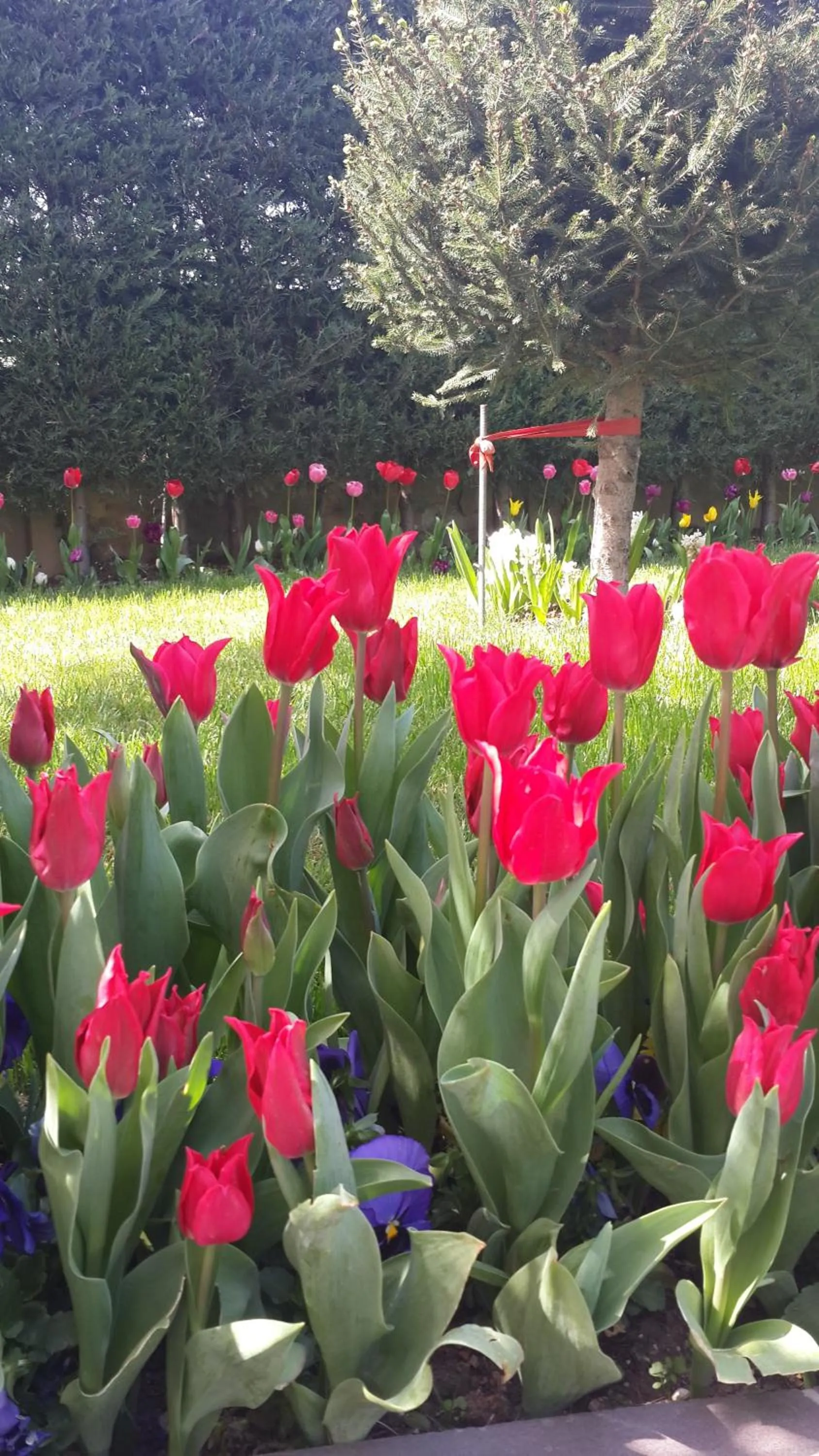 Garden in Pendik Marine Hotel