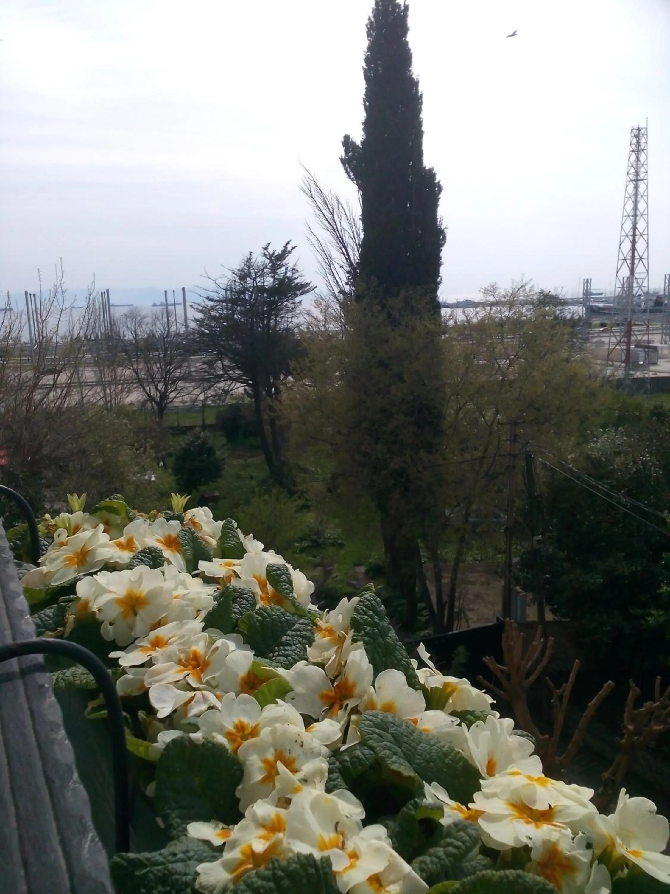 Balcony/Terrace in Pendik Marine Hotel
