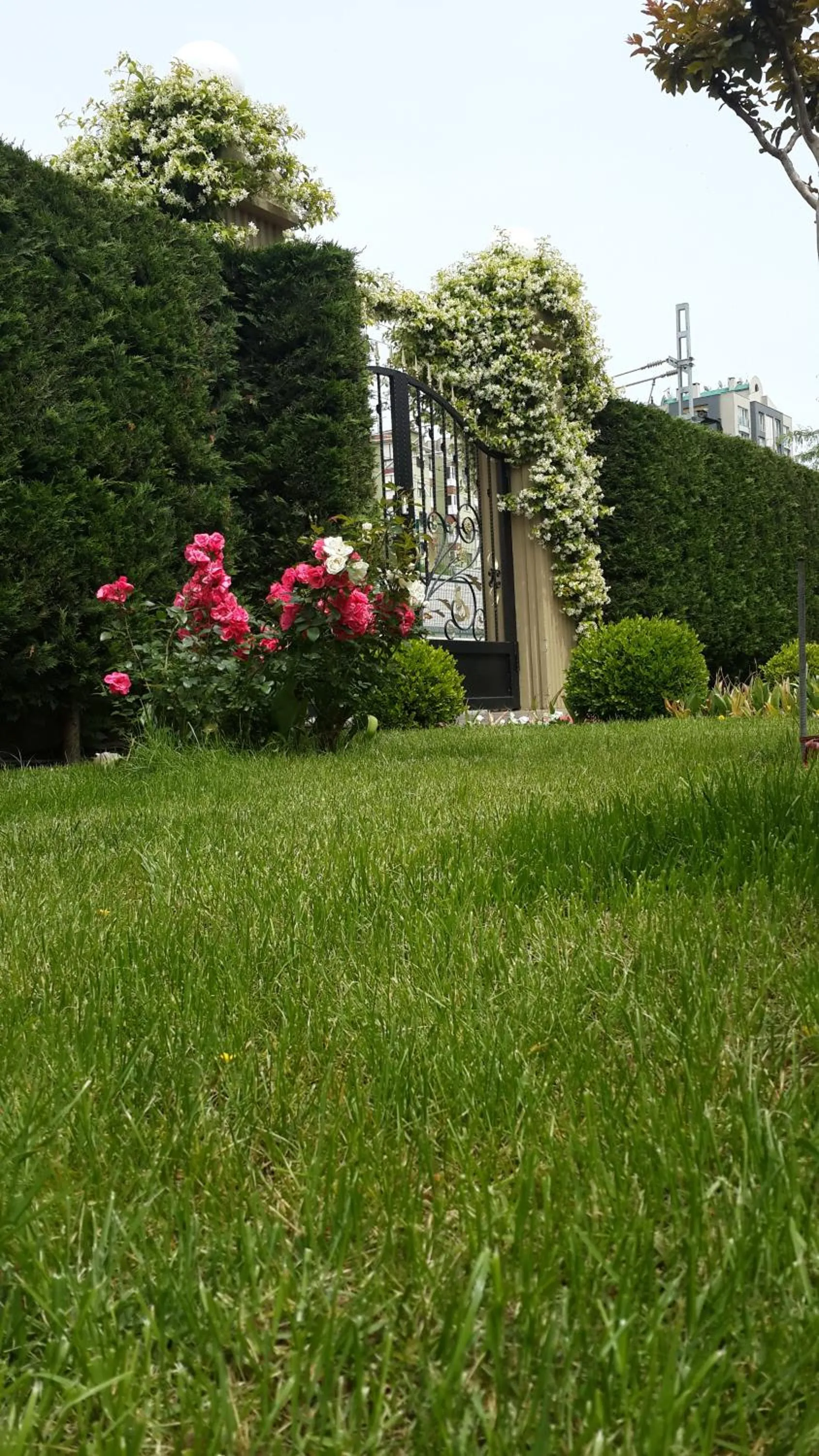 Garden in Pendik Marine Hotel