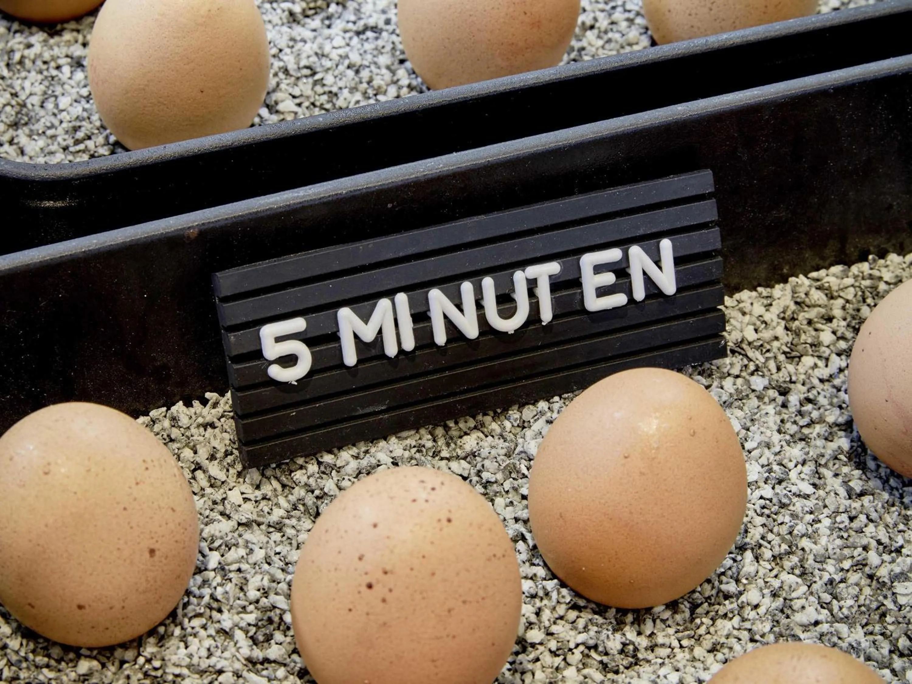 Breakfast in 25hours Hotel Das Tour