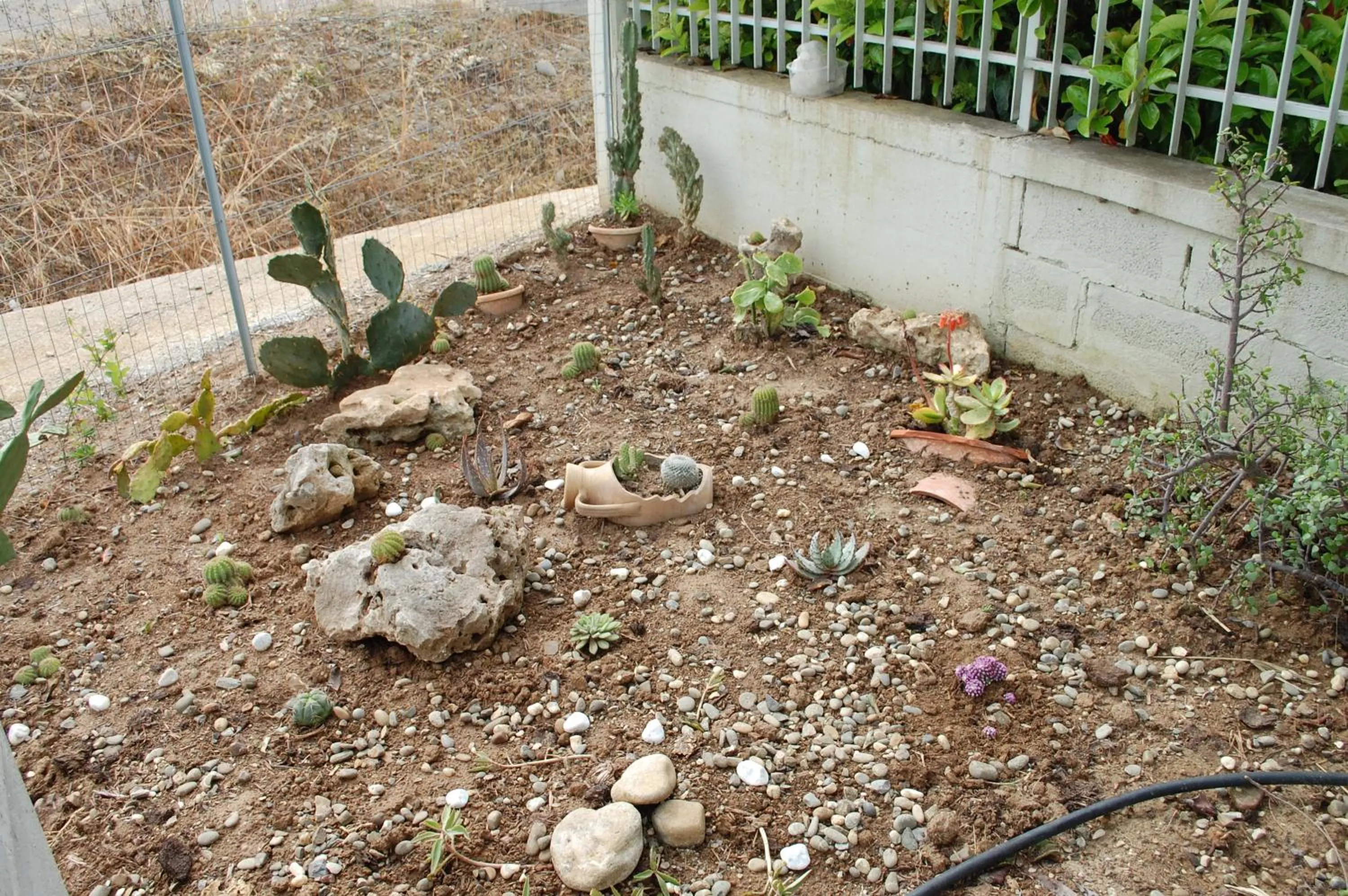 Garden in All'ombra del Carrubo - Metaponto