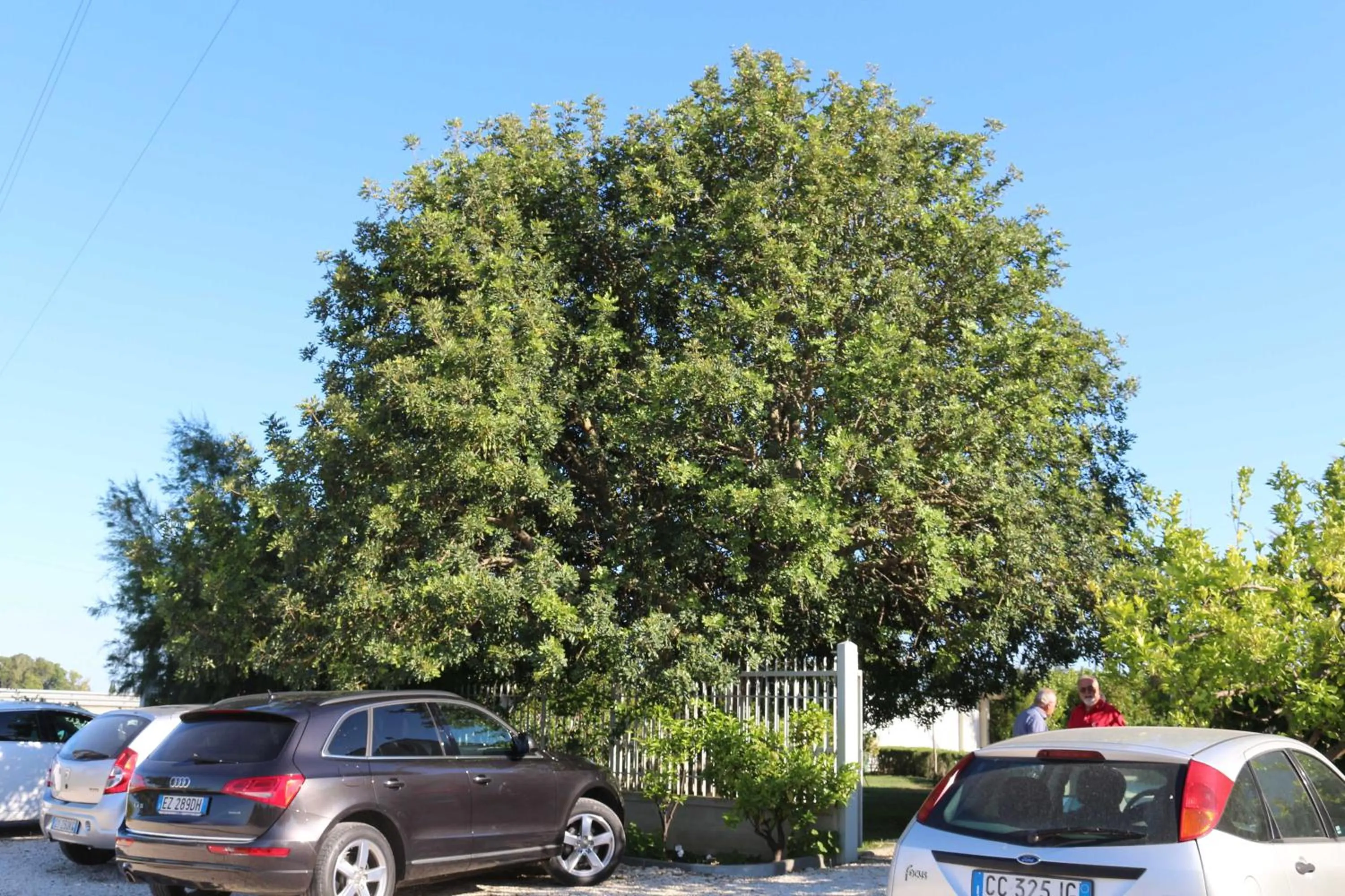 Facade/entrance in All'ombra del Carrubo - Metaponto