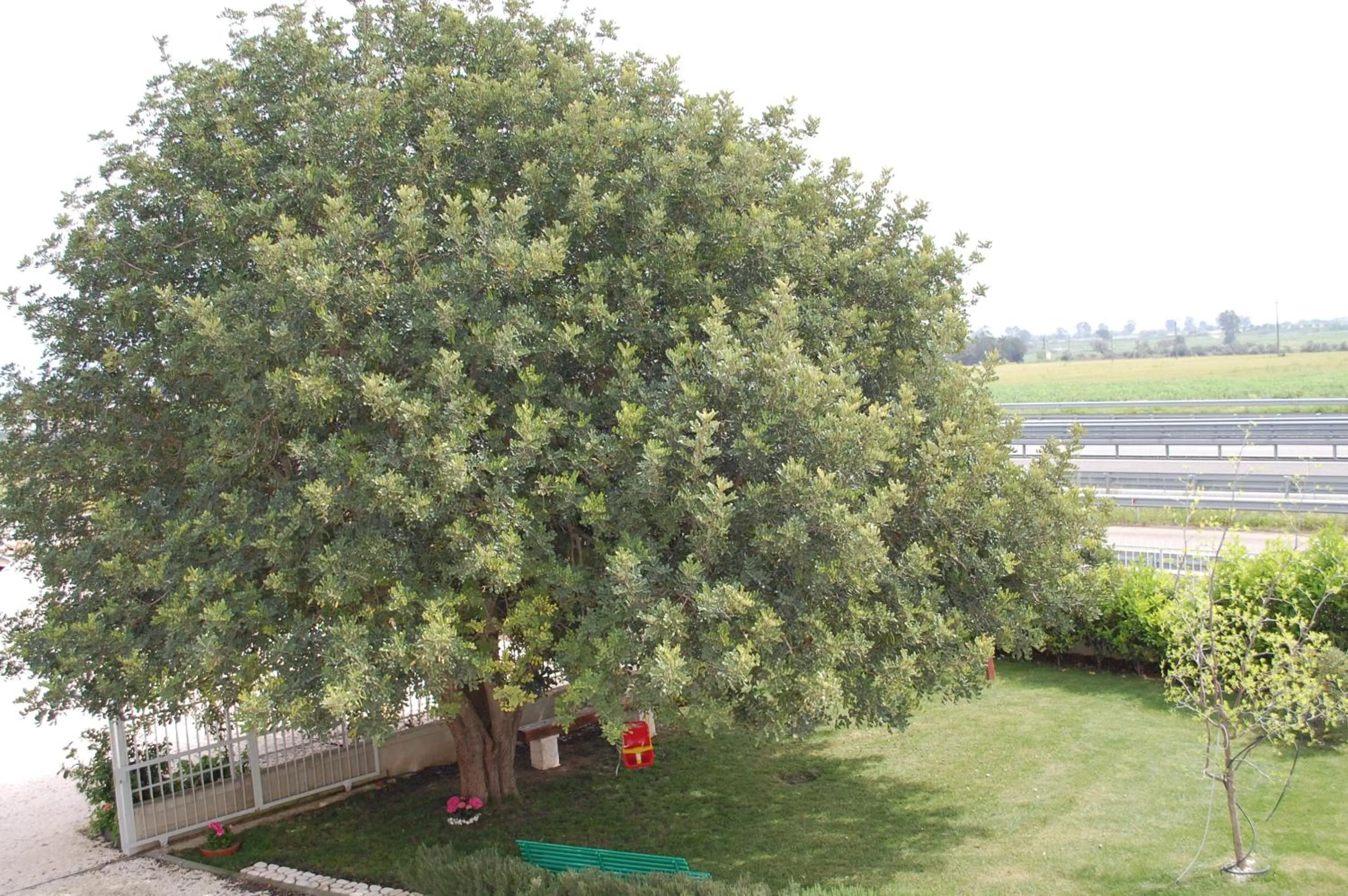 Garden in All'ombra del Carrubo - Metaponto