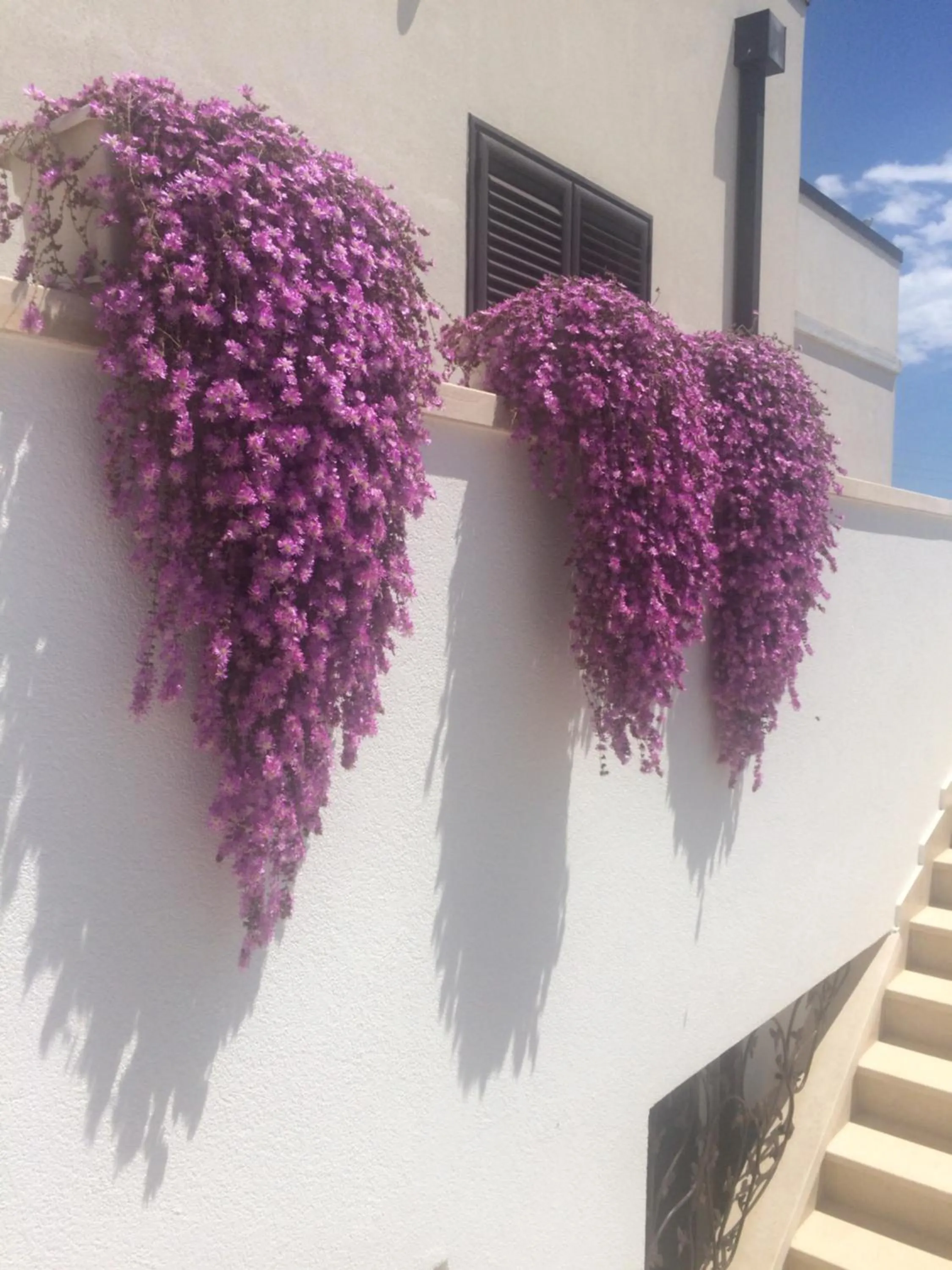 Garden in All'ombra del Carrubo - Metaponto