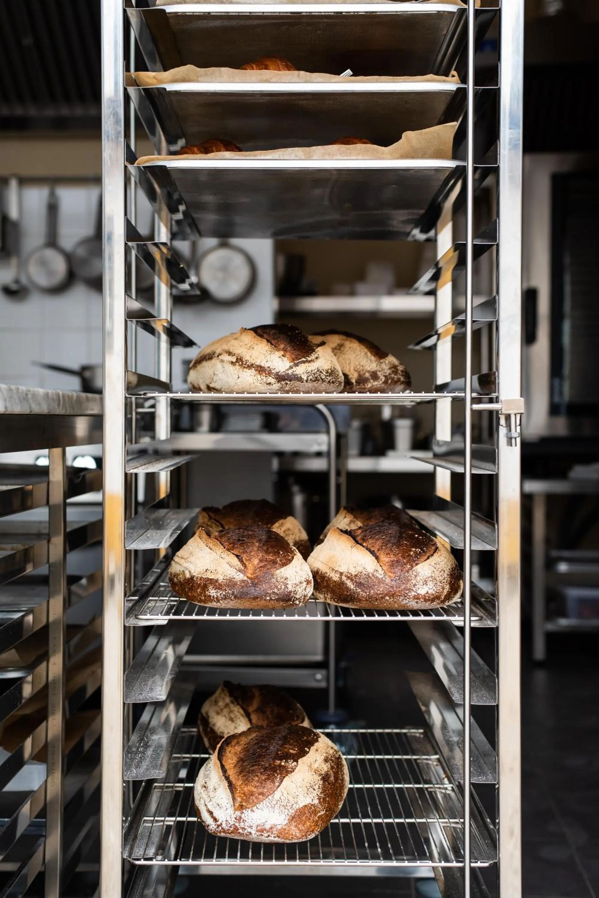 Food and drinks in DOMA Portugal