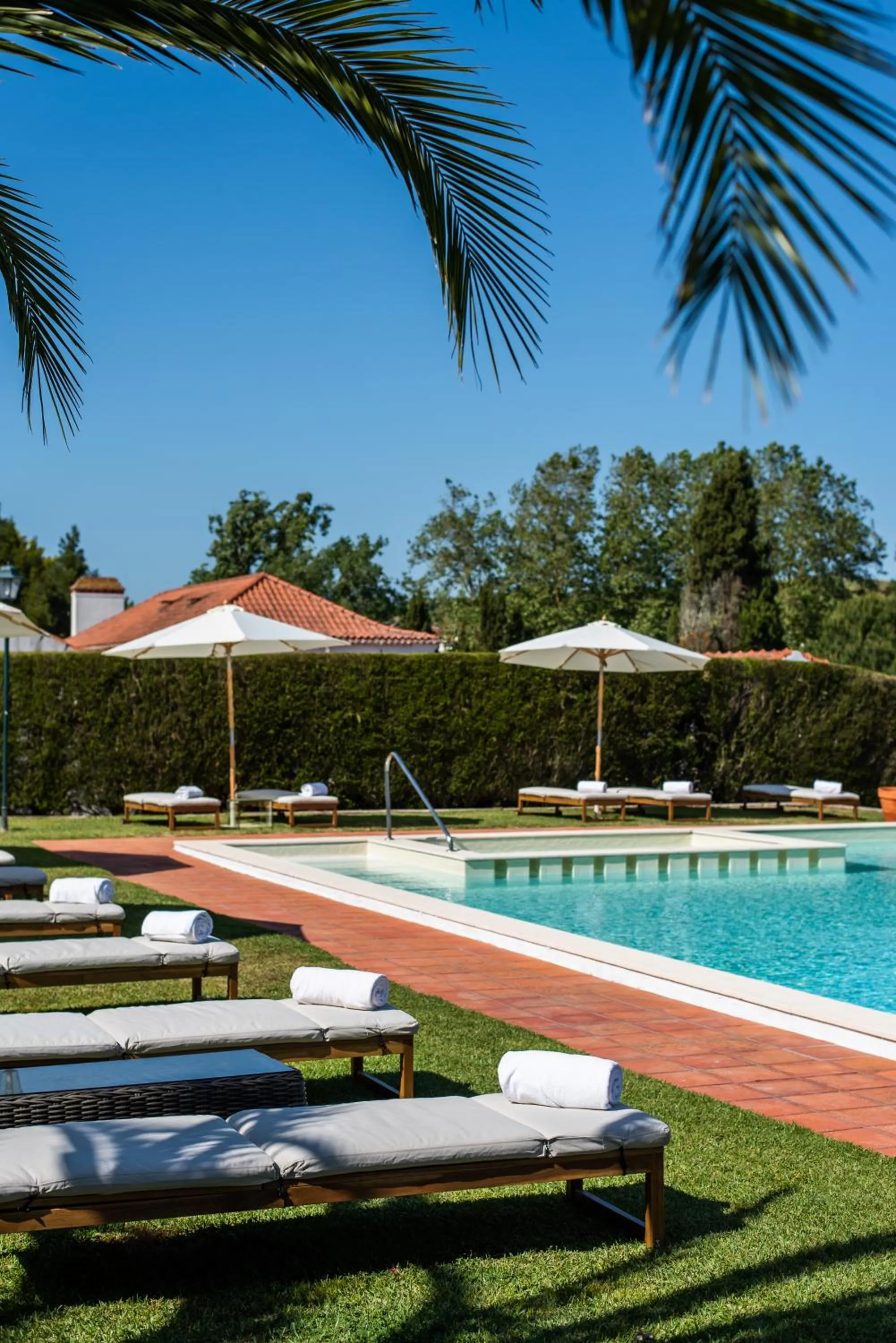 Day in DOMA Portugal