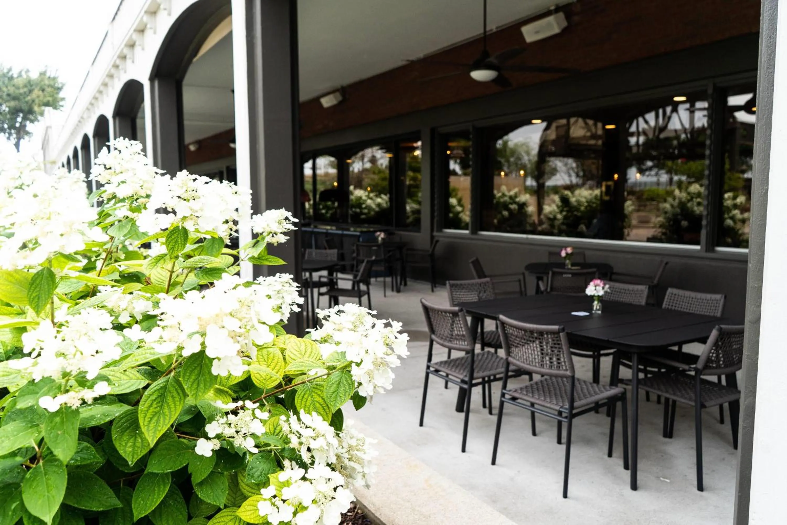 Restaurant/places to eat in Galt House Hotel, A Trademark Collection Hotel