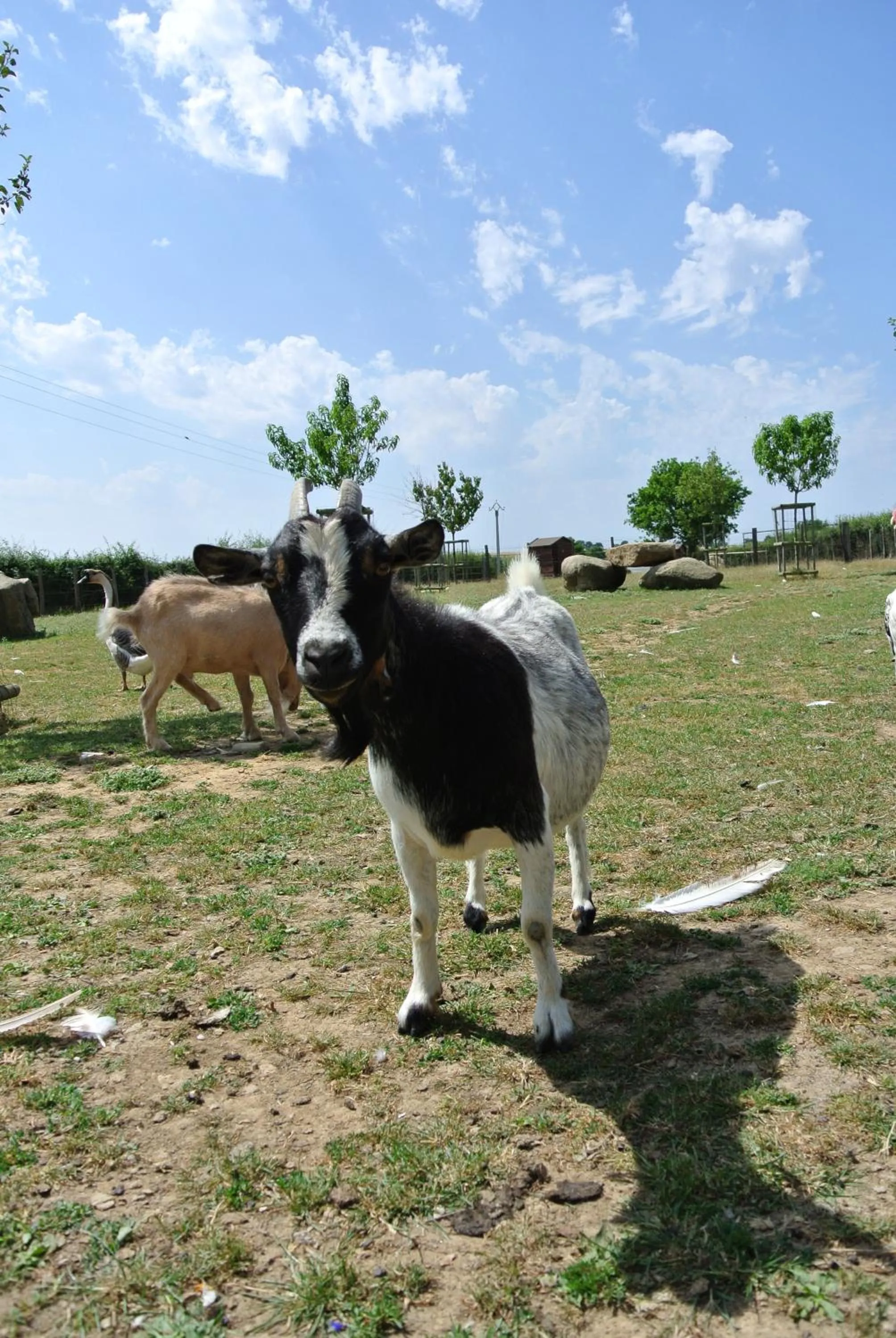 Chez Michel et Josette