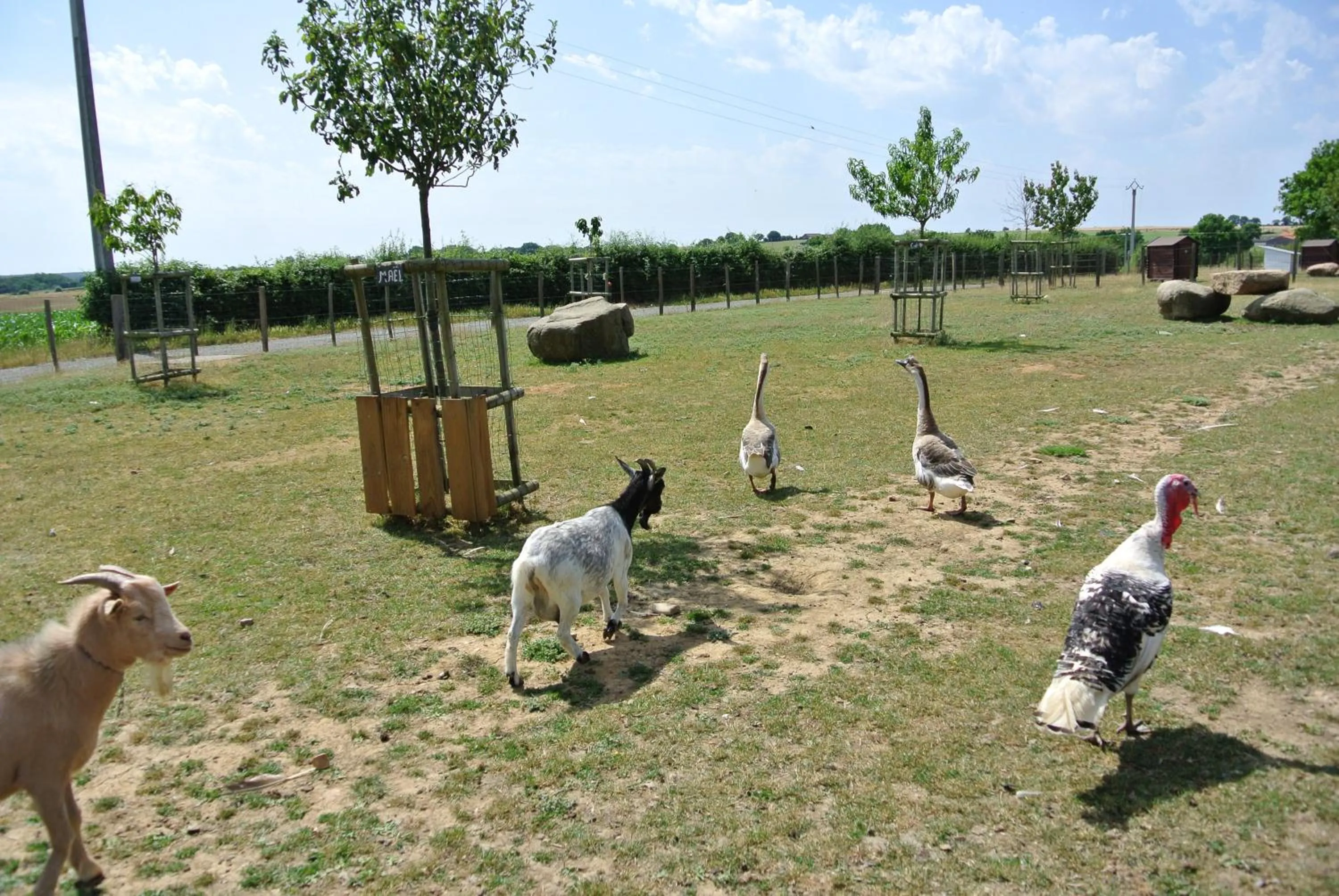 Chez Michel et Josette