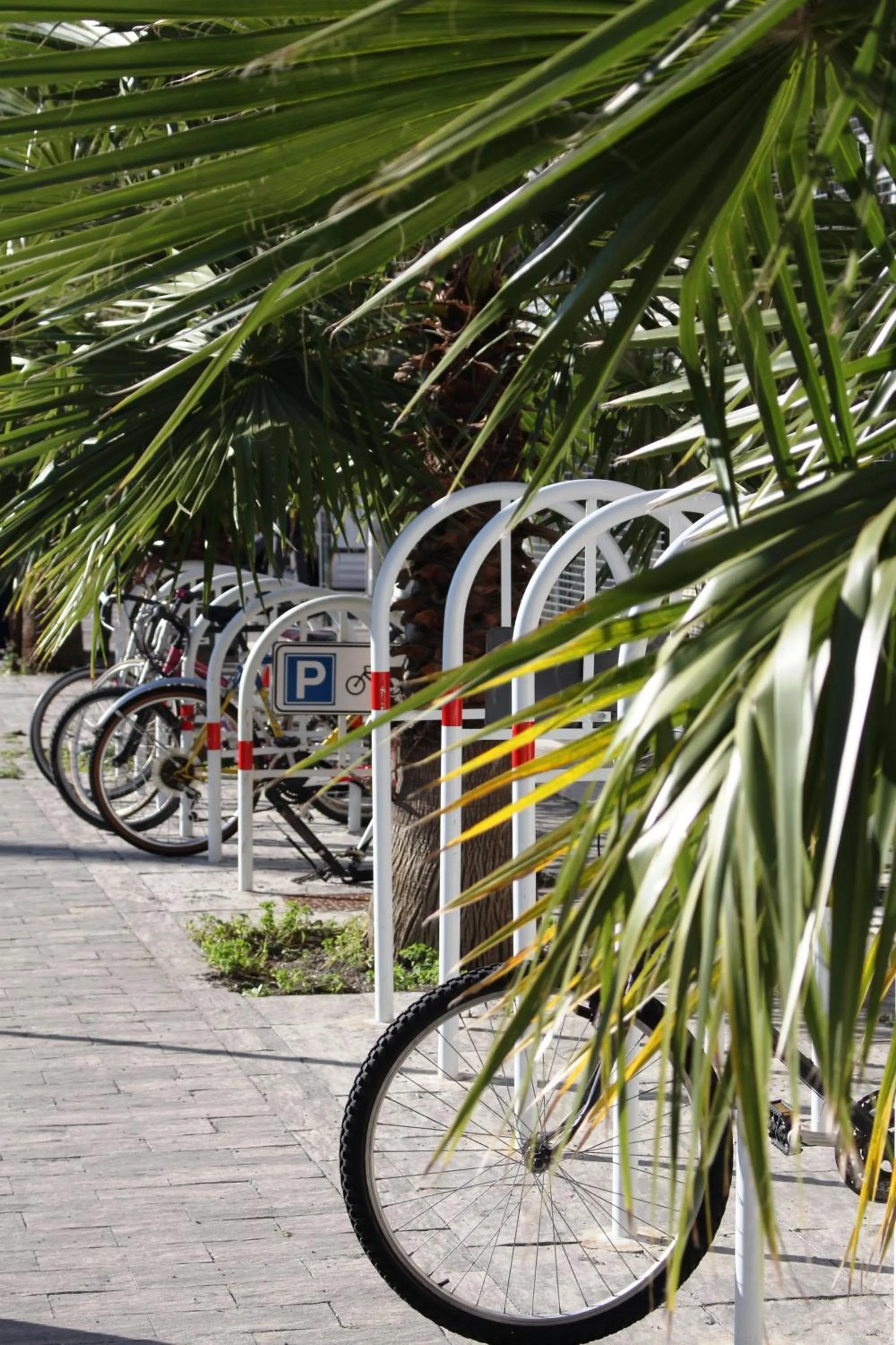 Neighbourhood in Bb Tube