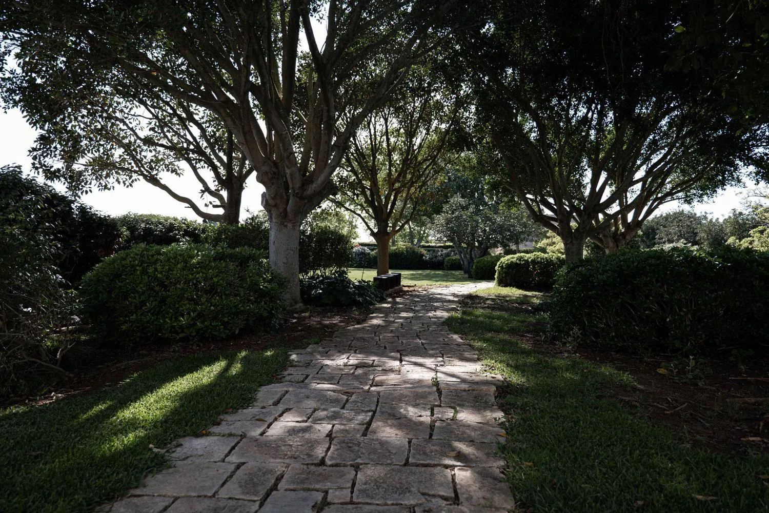 Garden in Masseria Li Foggi