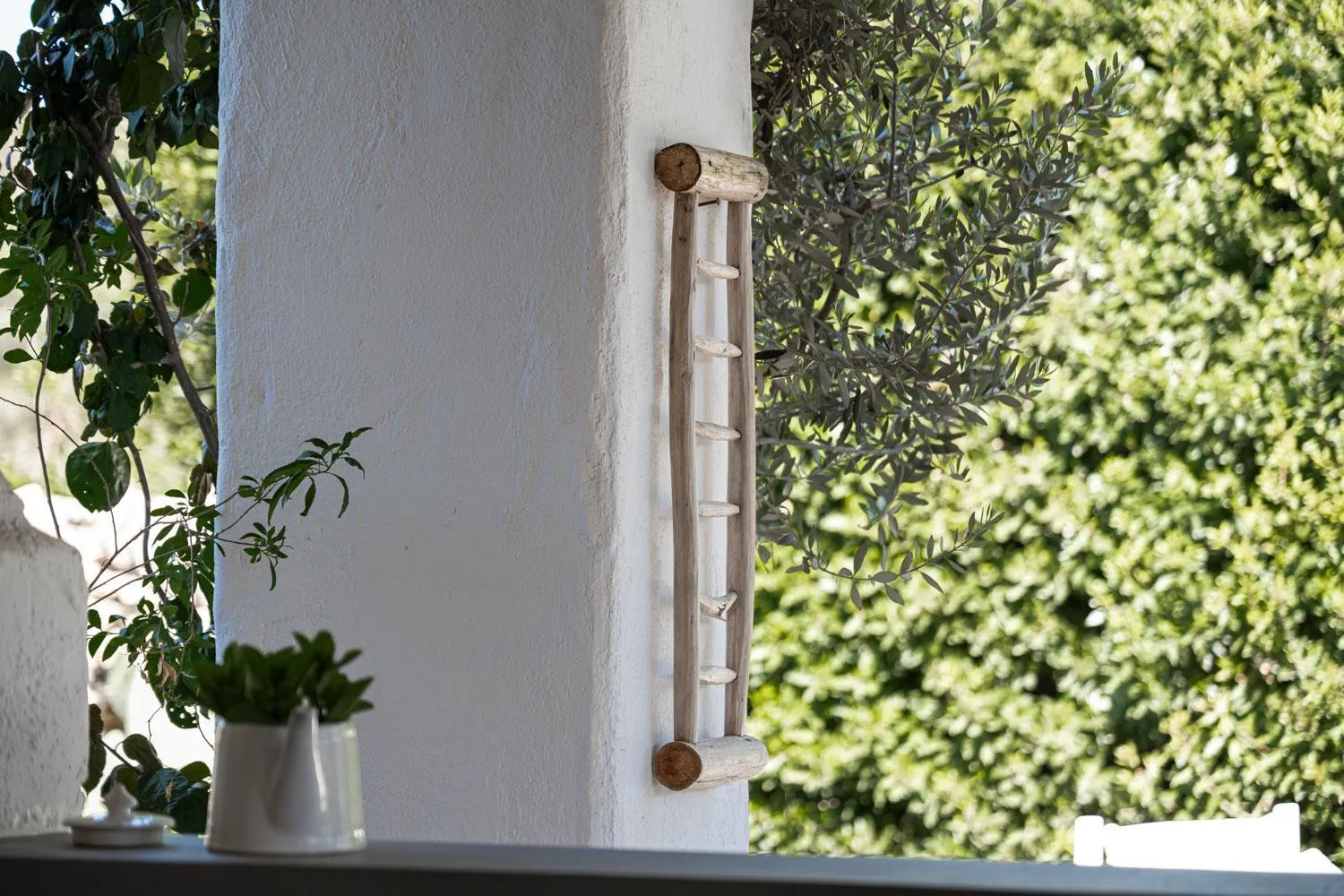 Garden in Masseria Li Foggi