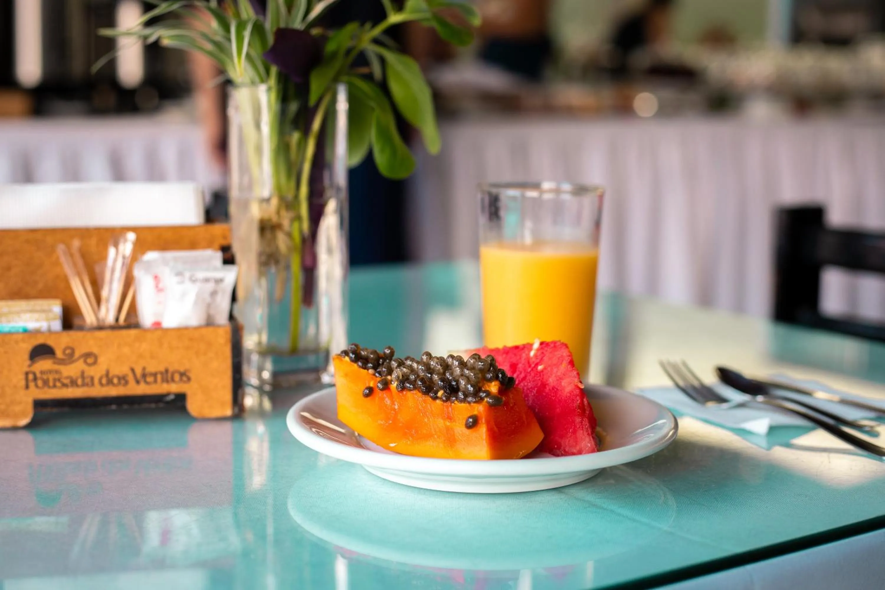 Hotel Pousada Dos Ventos