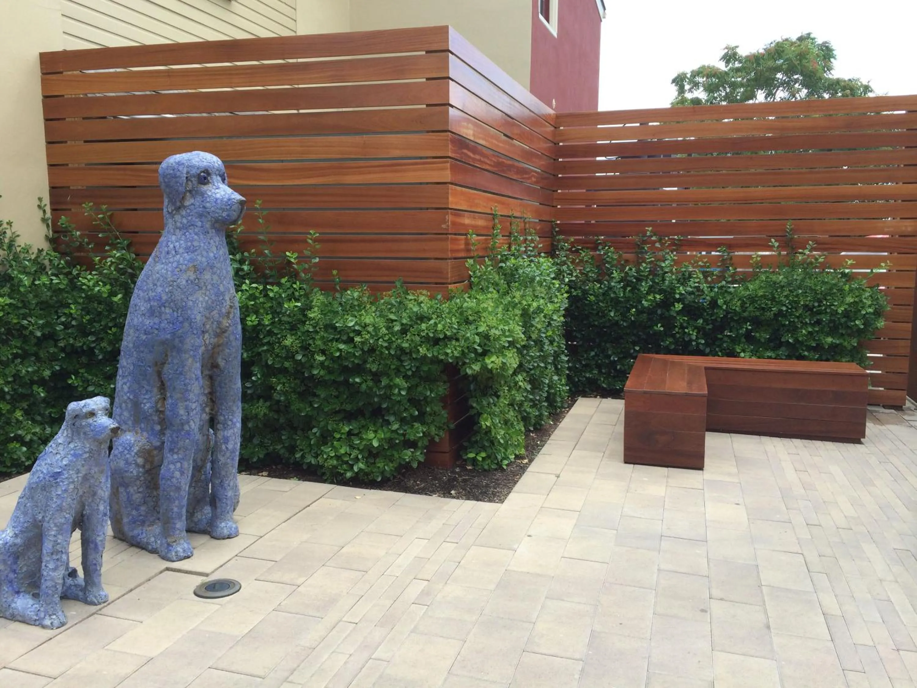 Pets in Chestnut Hill Hotel