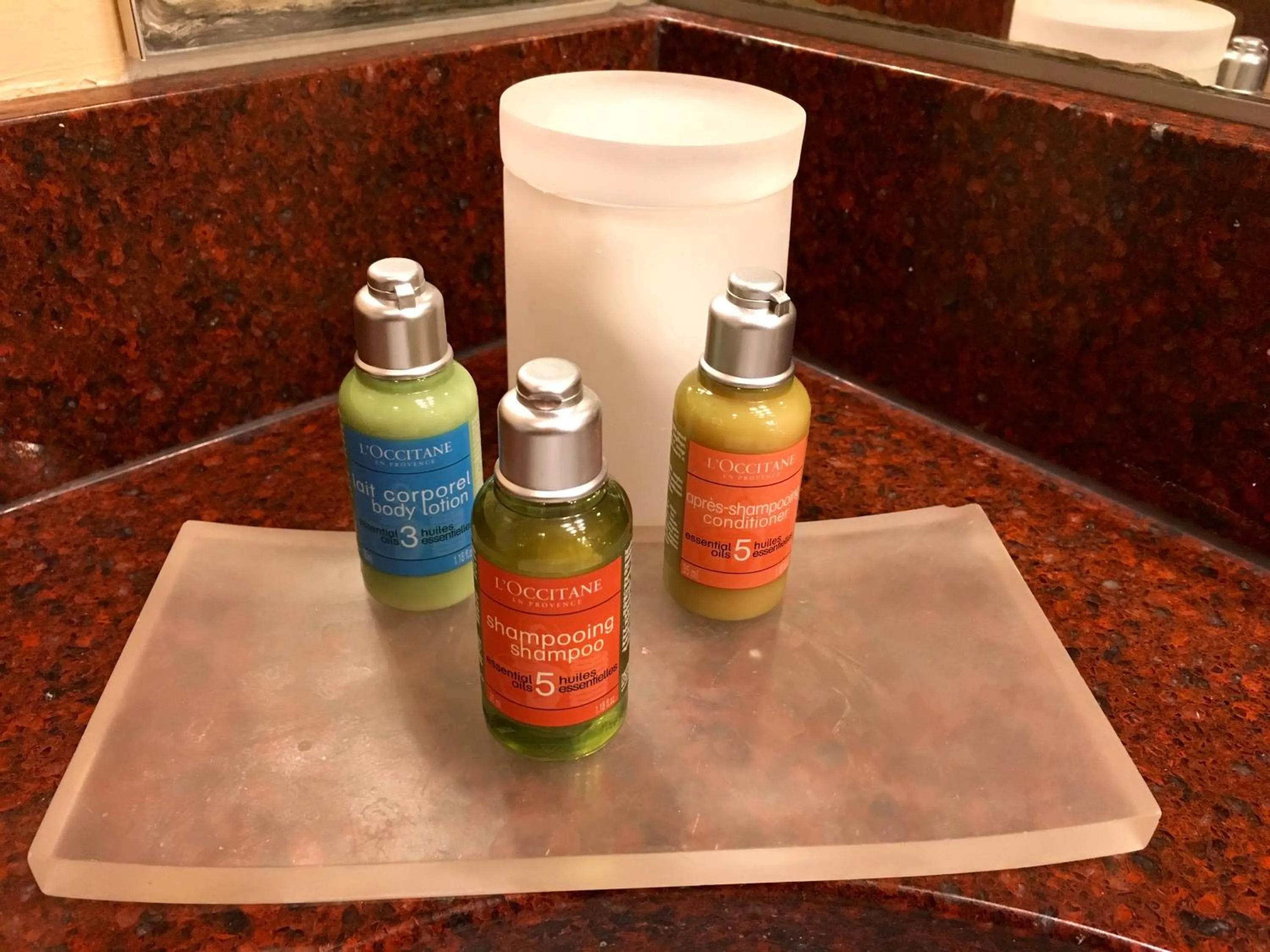 Shower in Chestnut Hill Hotel