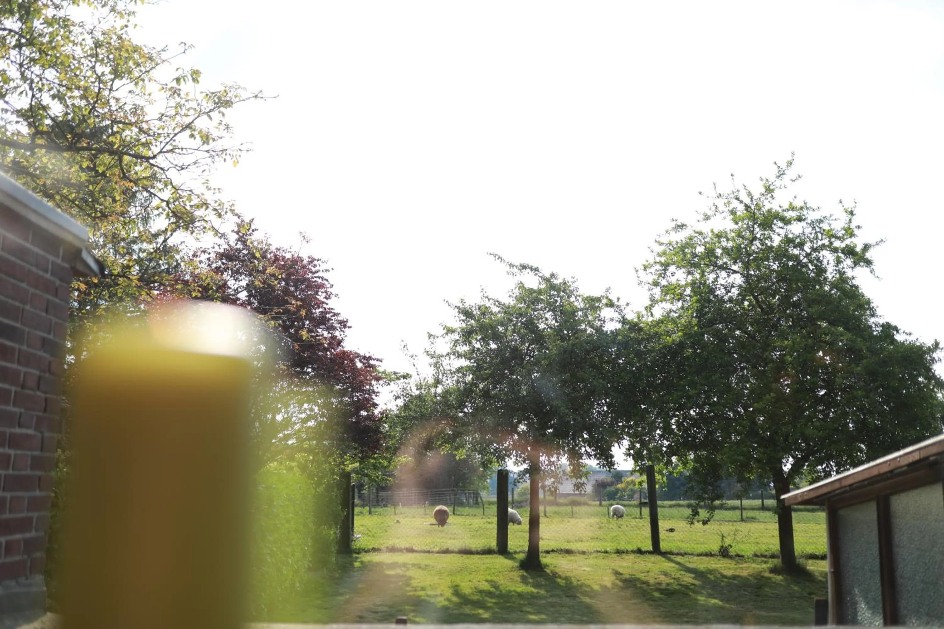 Garden in Hotel Haus Nachtigall - B&B