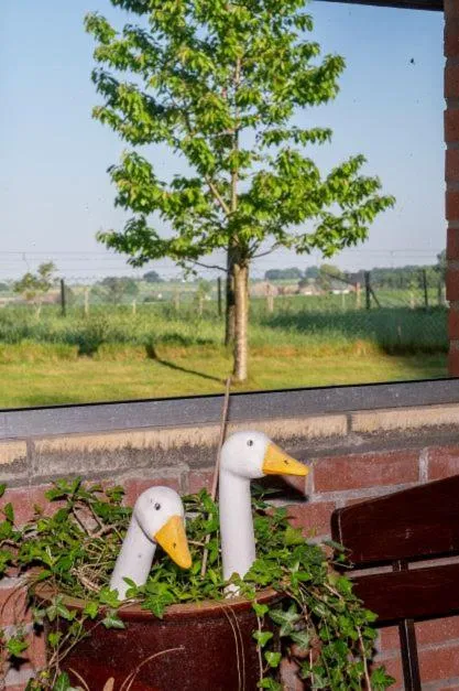 View (from property/room) in Hotel Haus Nachtigall - B&B